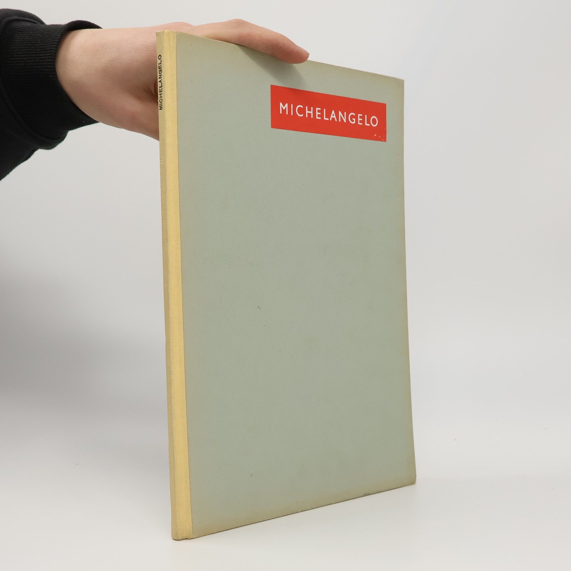 Michelangelo