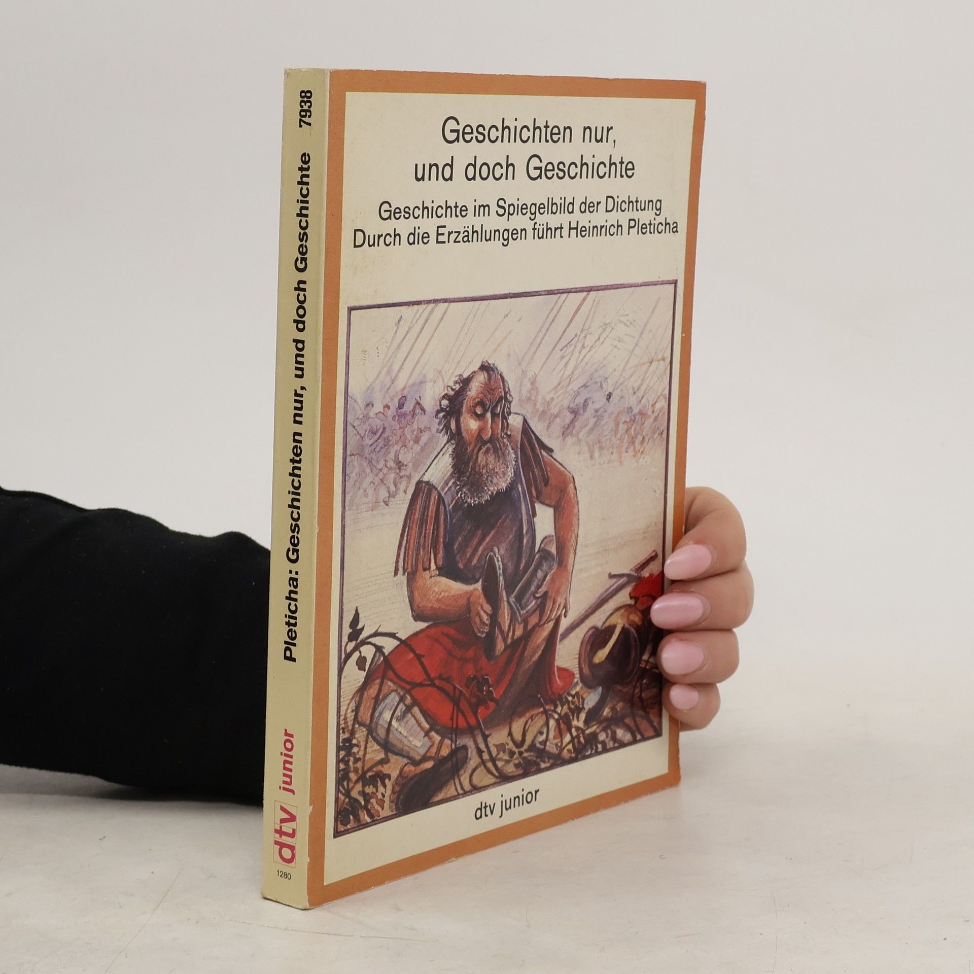 Heinrich Pleticha dtv junior: Geschichten nur, und doch Geschichte