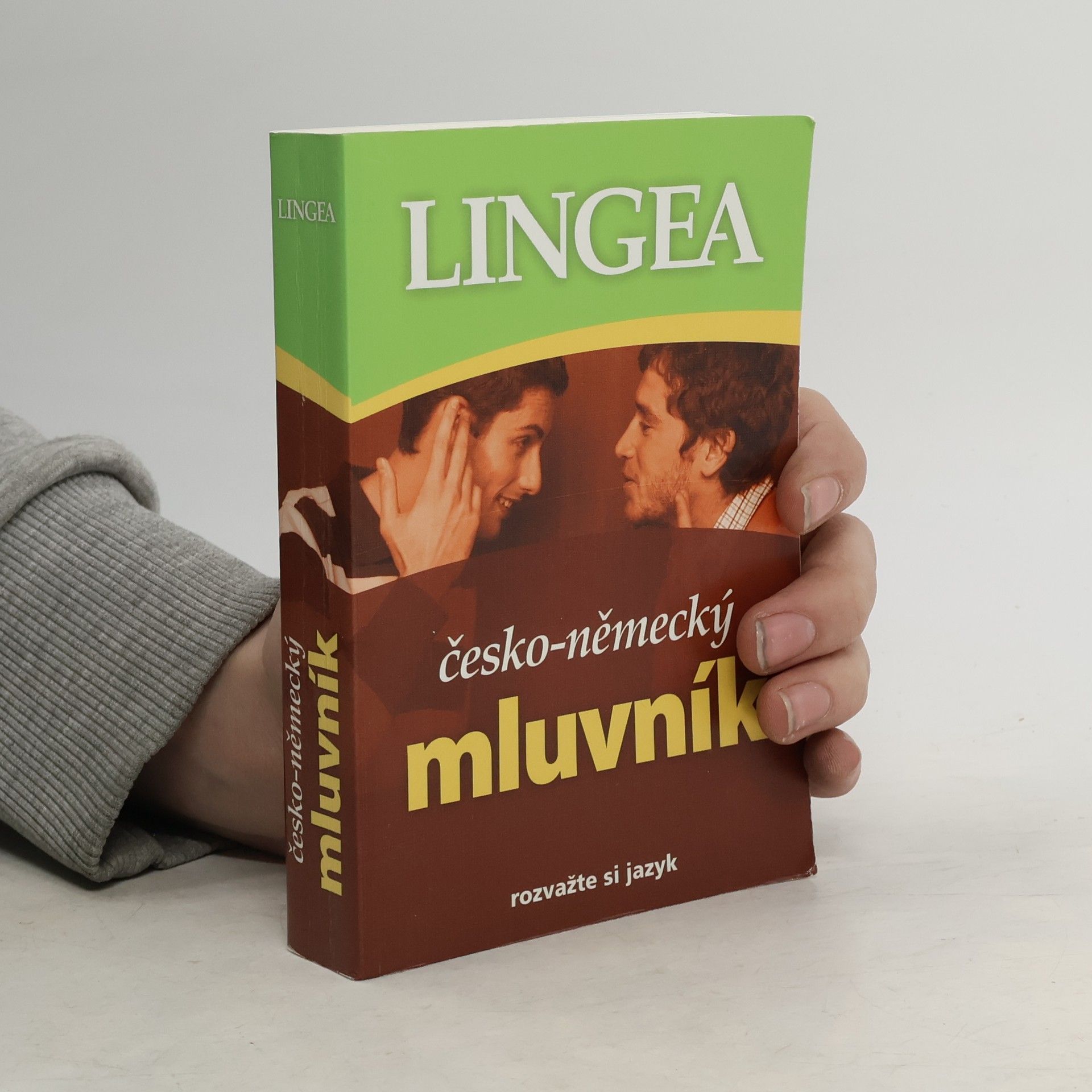 Autorenkollektiv Česko-německý mluvník