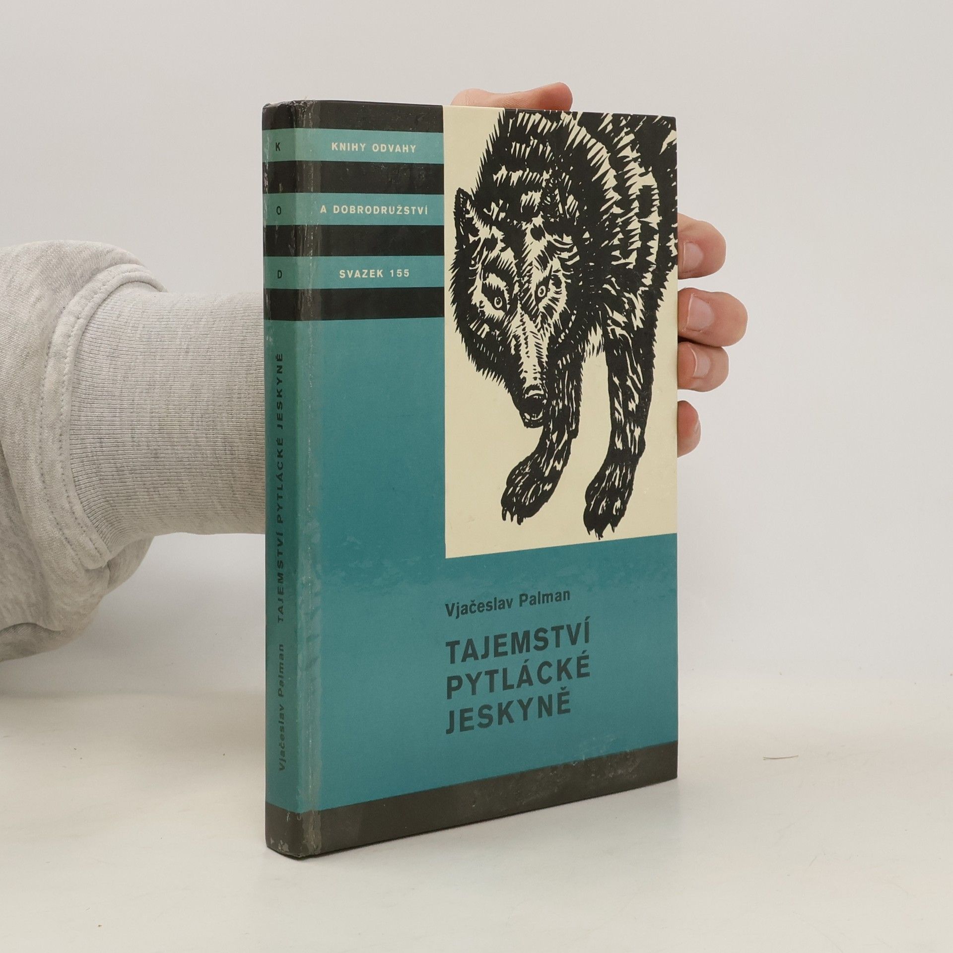 Vjačeslav Palman Tajemství pytlácké jeskyně