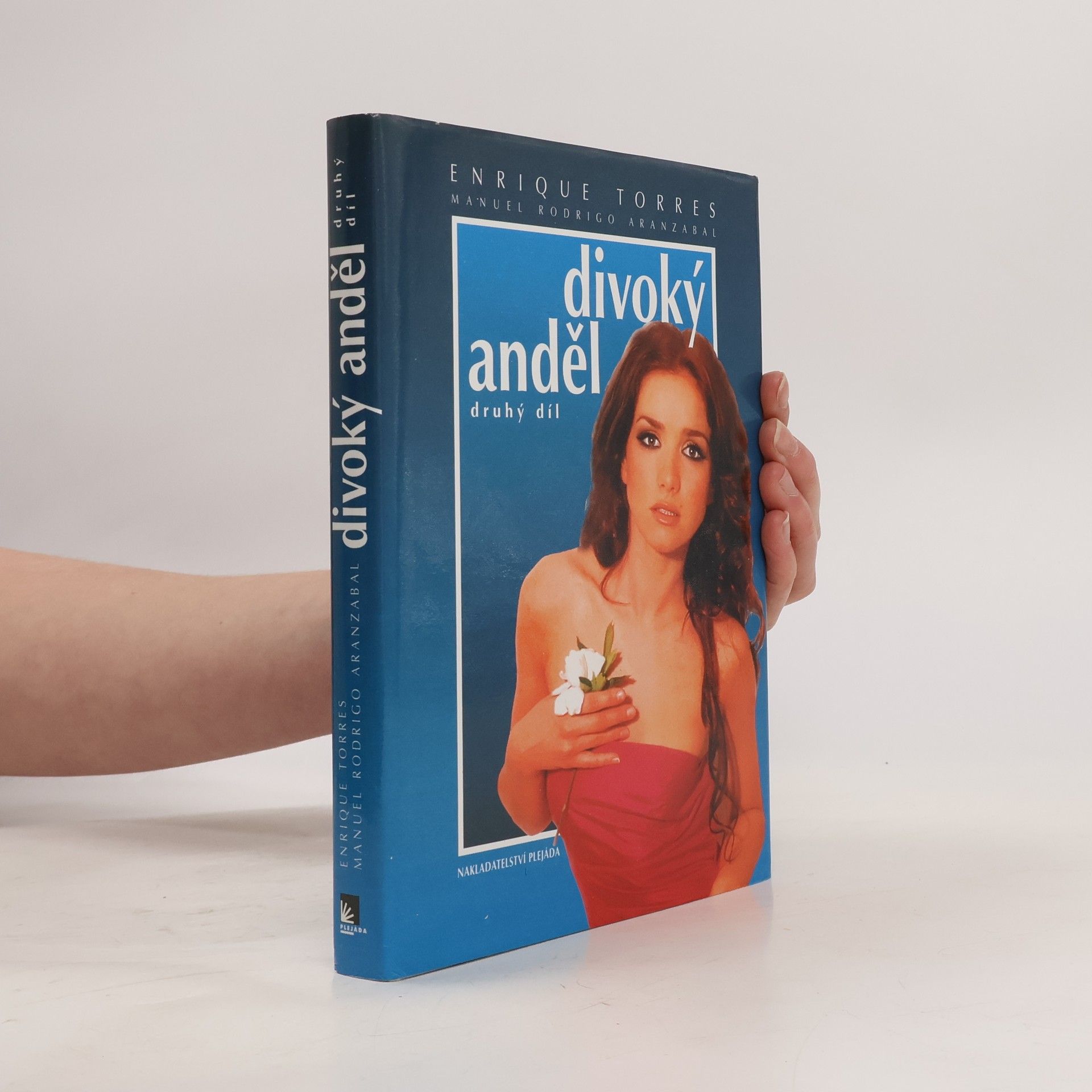 Divoký anděl 2. díl: Kapitoly ze života Milagros