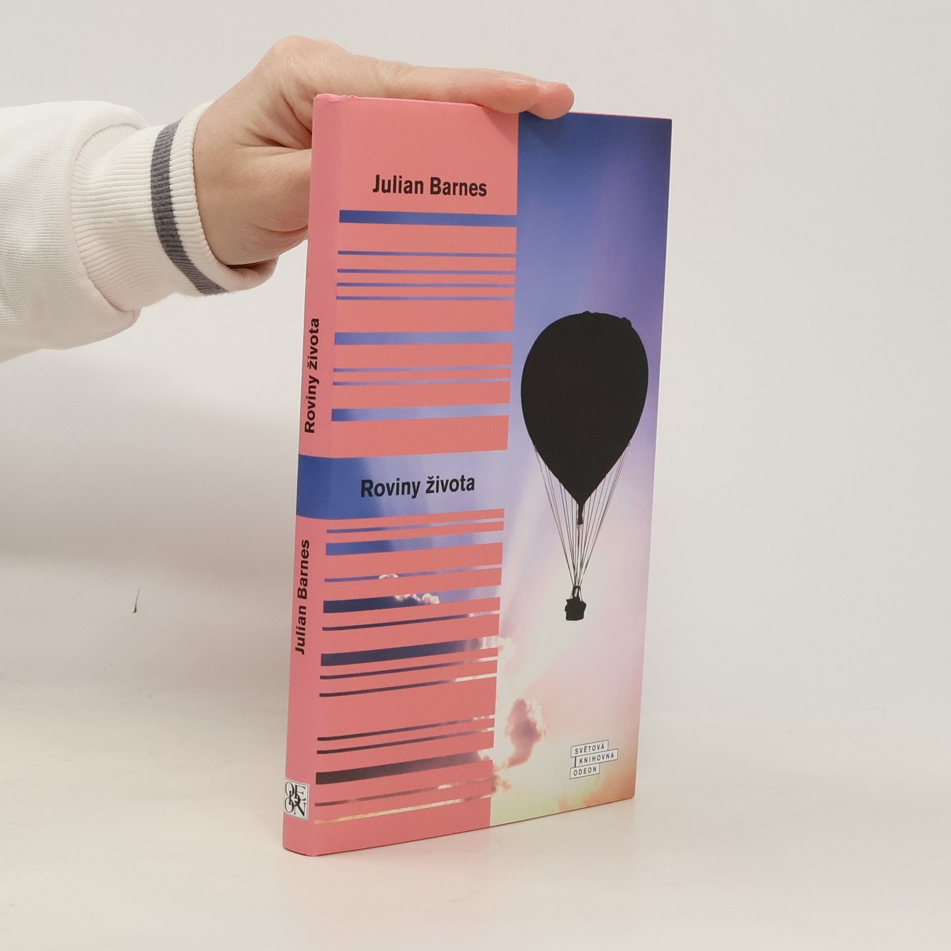 Julian Barnes Roviny života