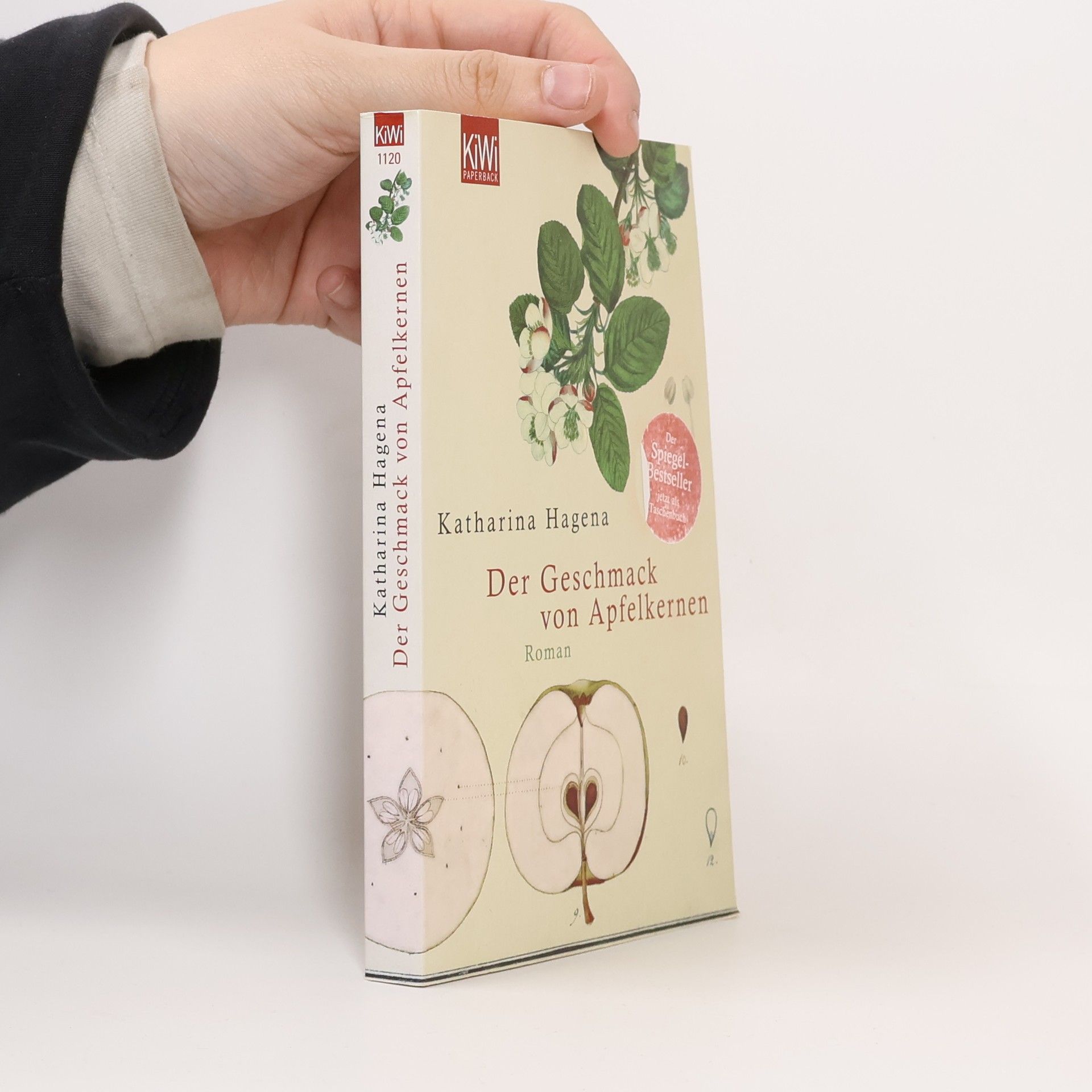 Katharina Hagena Der Geschmack von Apfelkernen