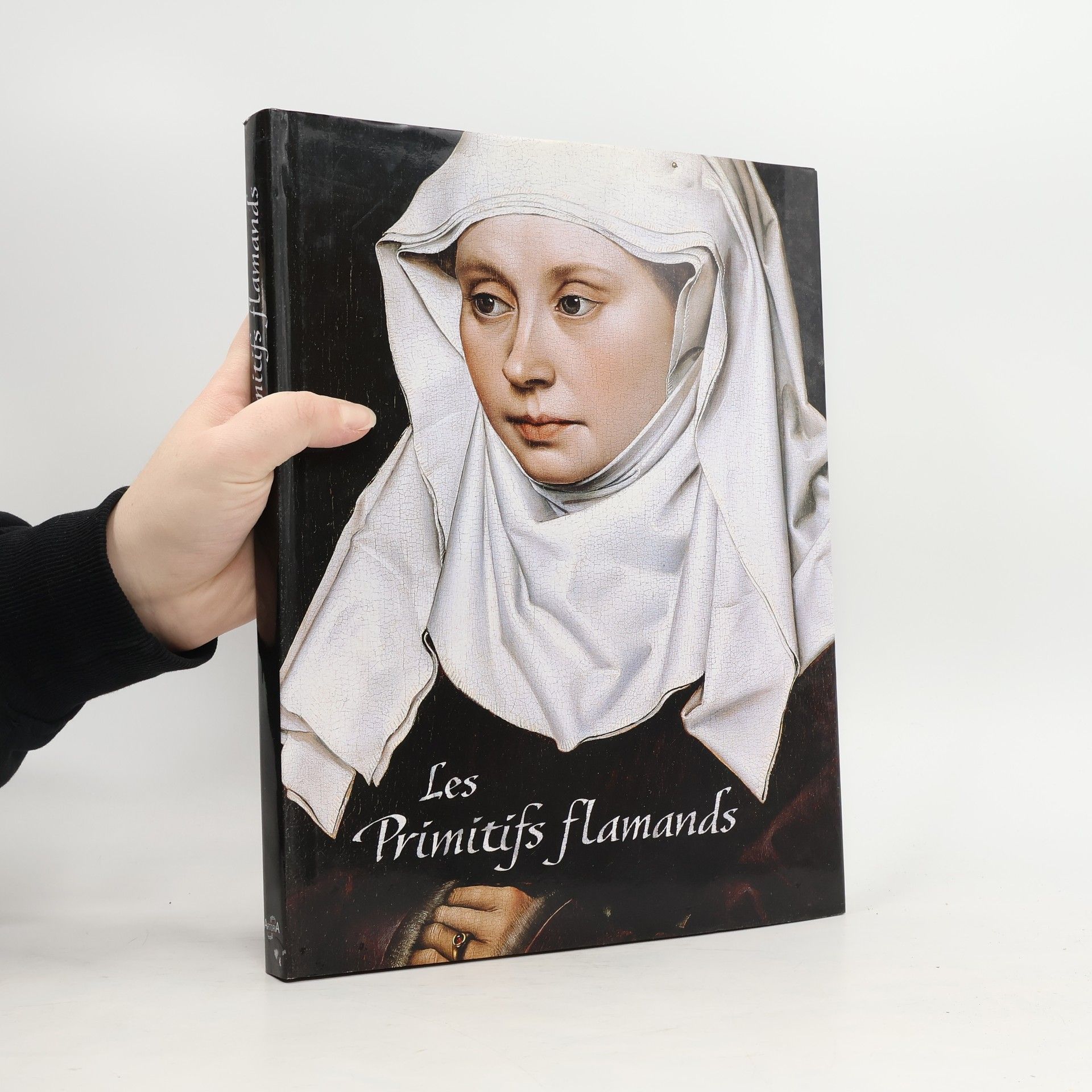 Brigitte Dekeyzer Les primitifs flamands