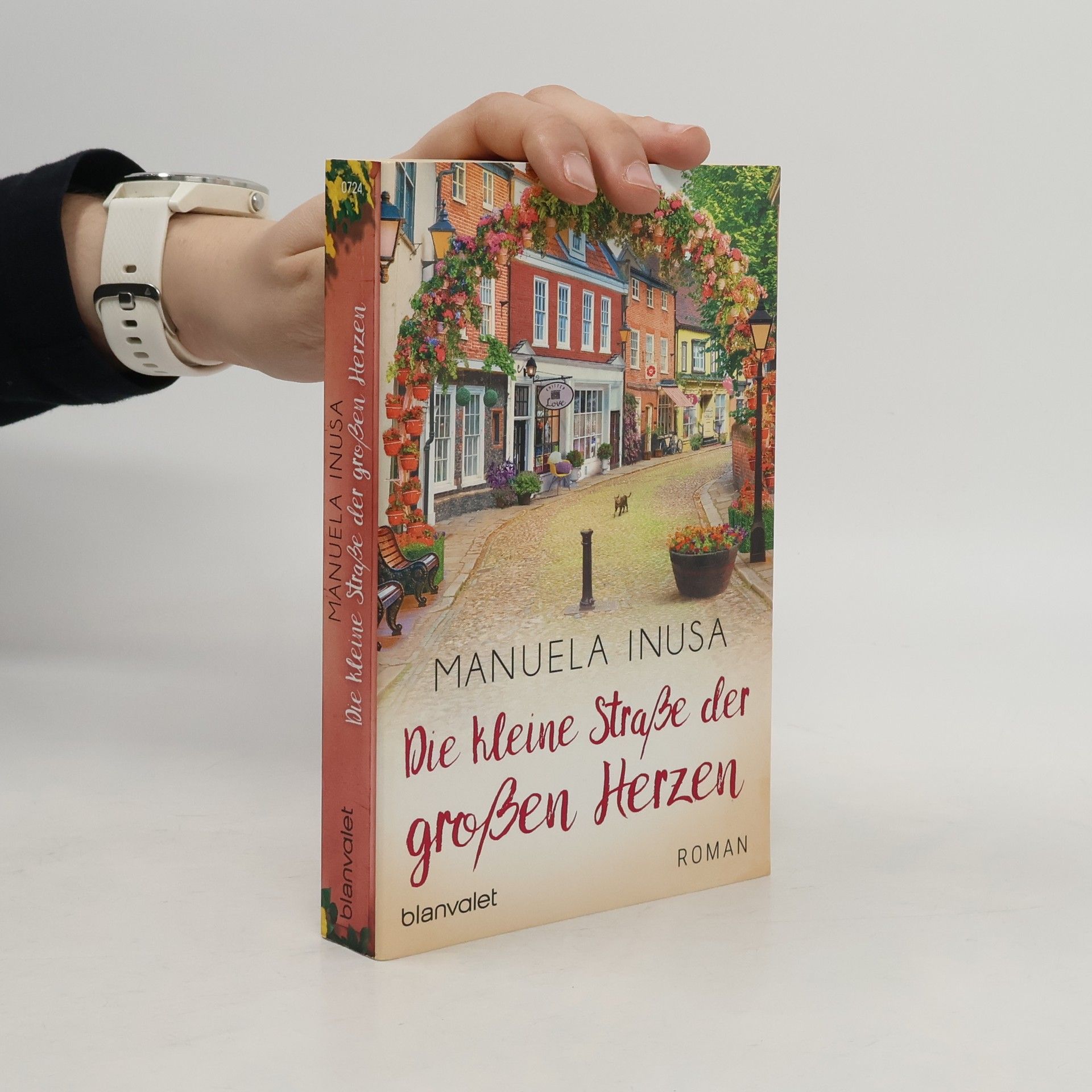 Manuela Inusa Die kleine Straße der großen Herzen