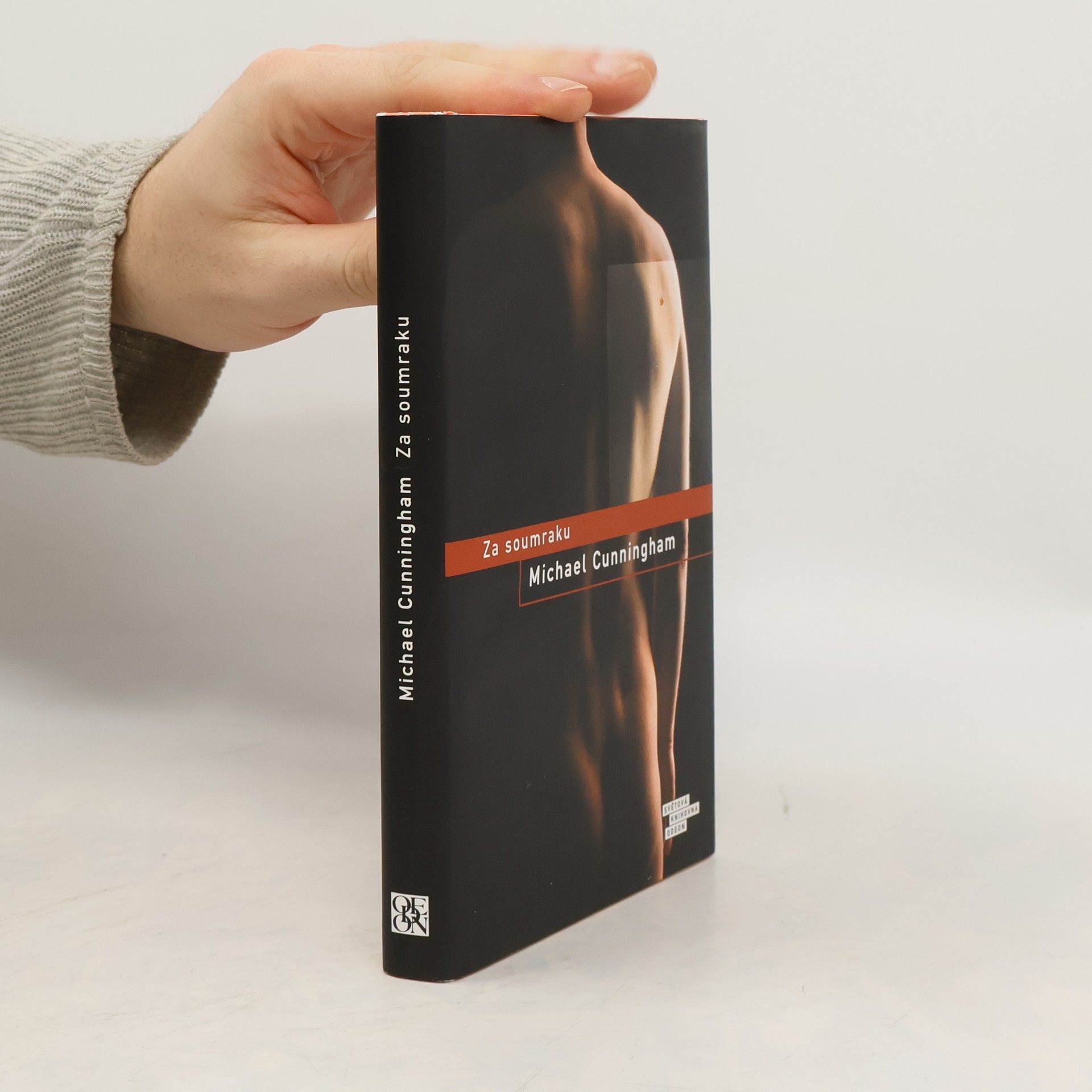 Michael Cunningham Za soumraku