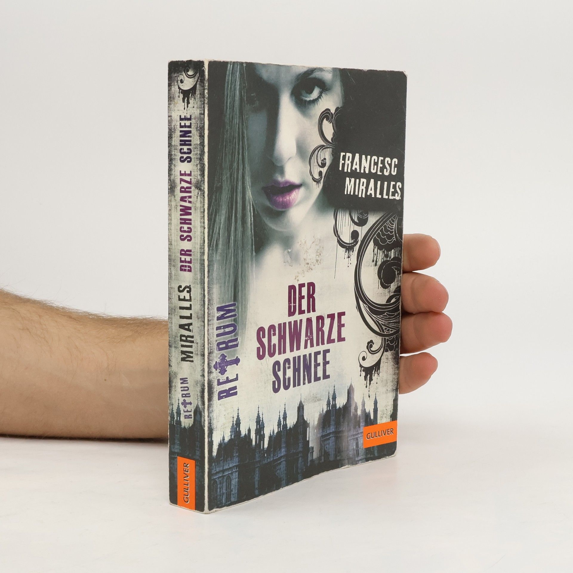 Francesc Miralles i Contijoch Retrum - der schwarze Schnee