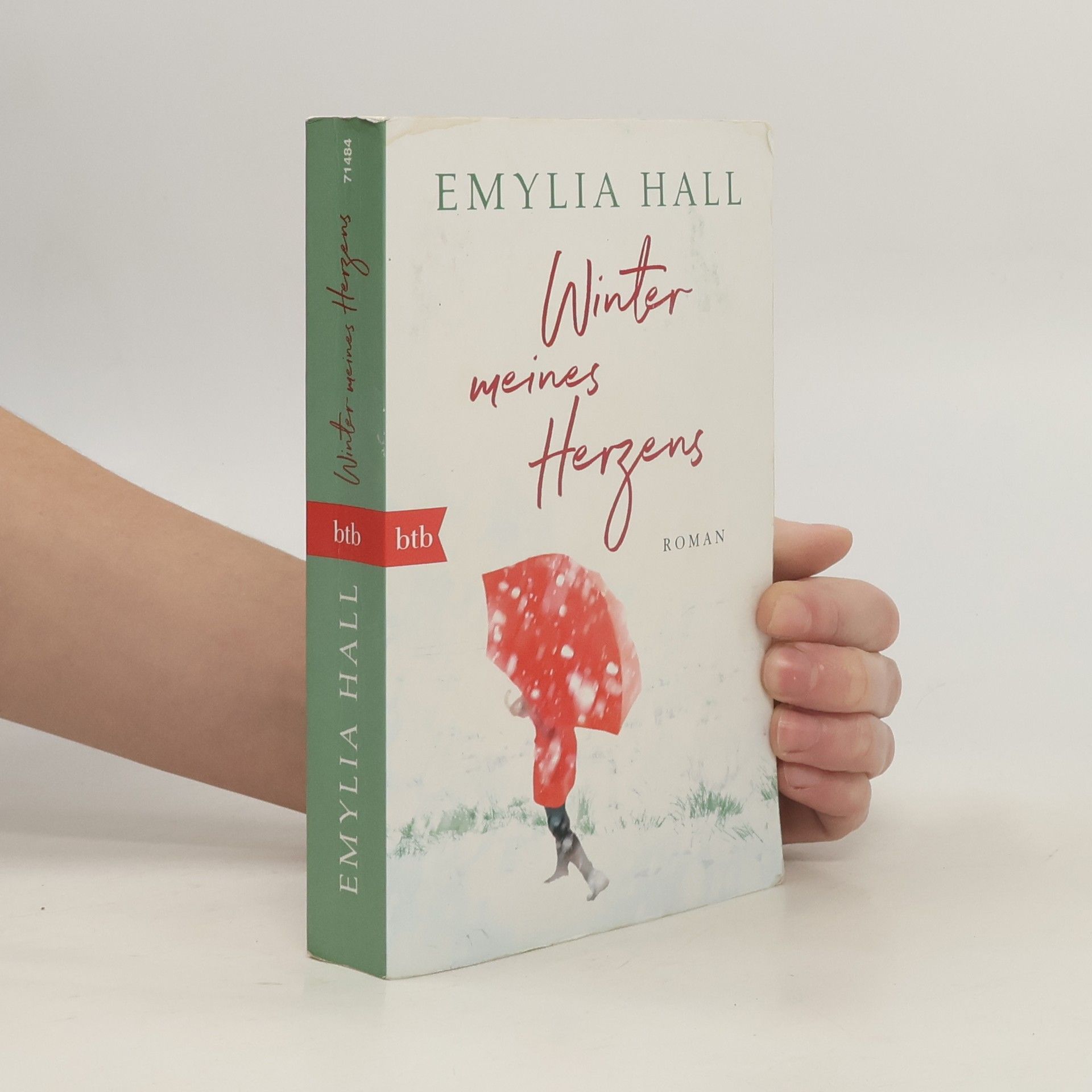 Emylia Hall Winter meines Herzens