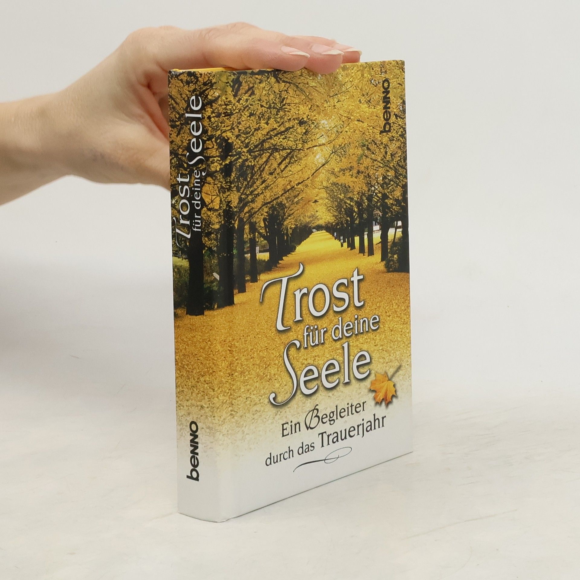 Elisa Eichberg Trost für deine Seele