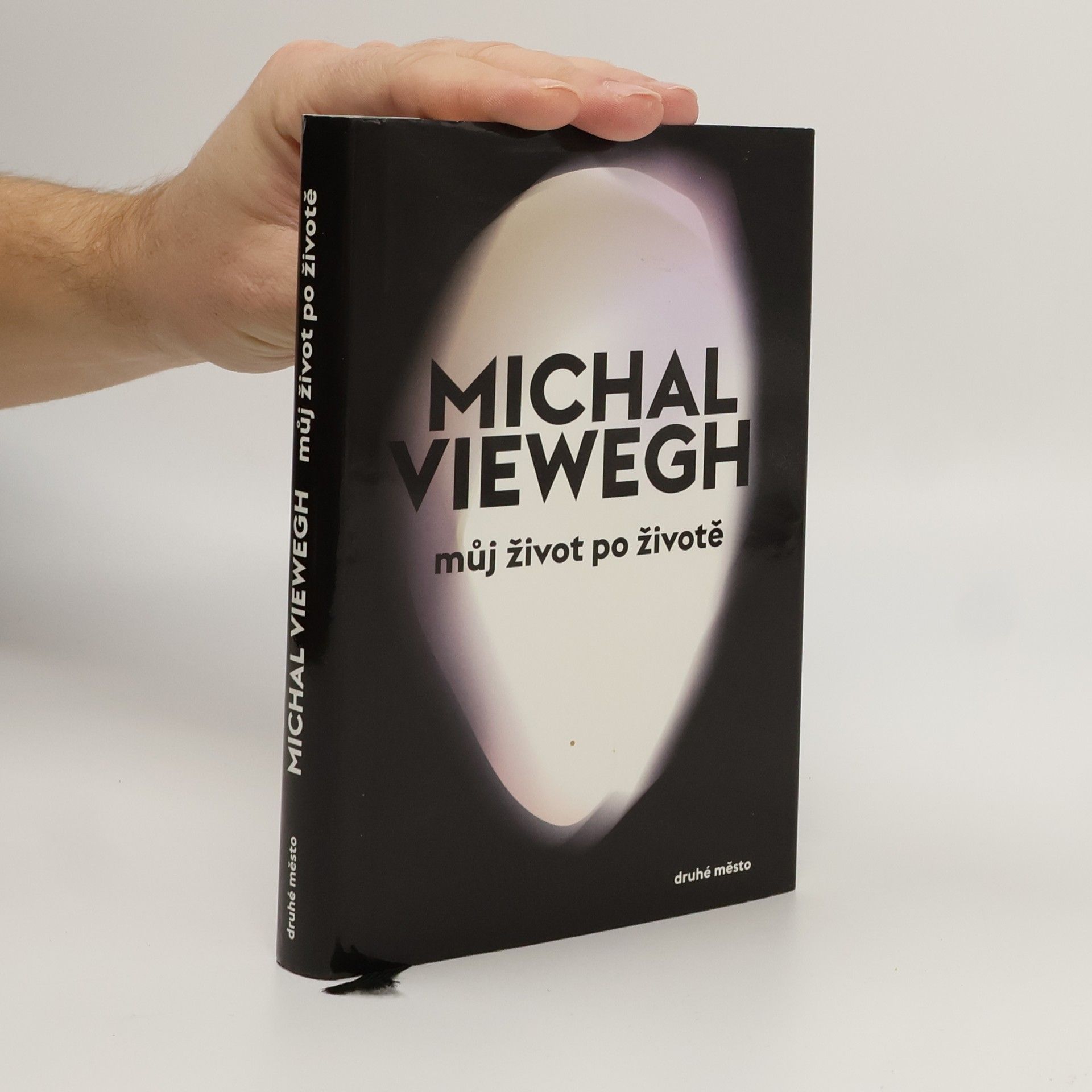 Michal Viewegh Můj život po životě