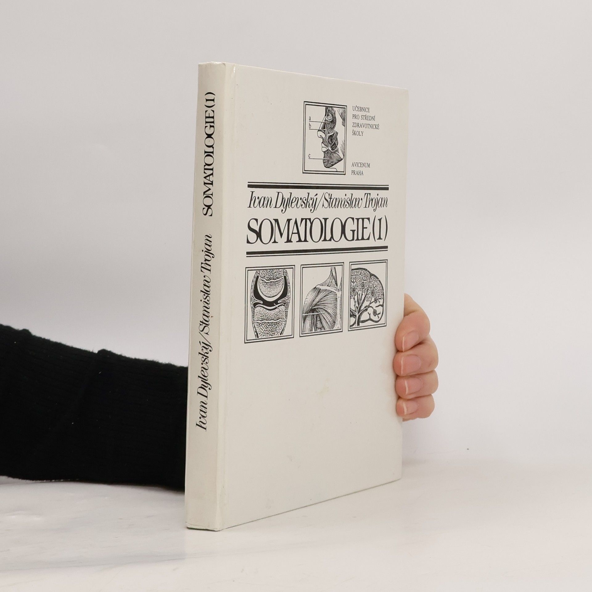 Somatologie 1