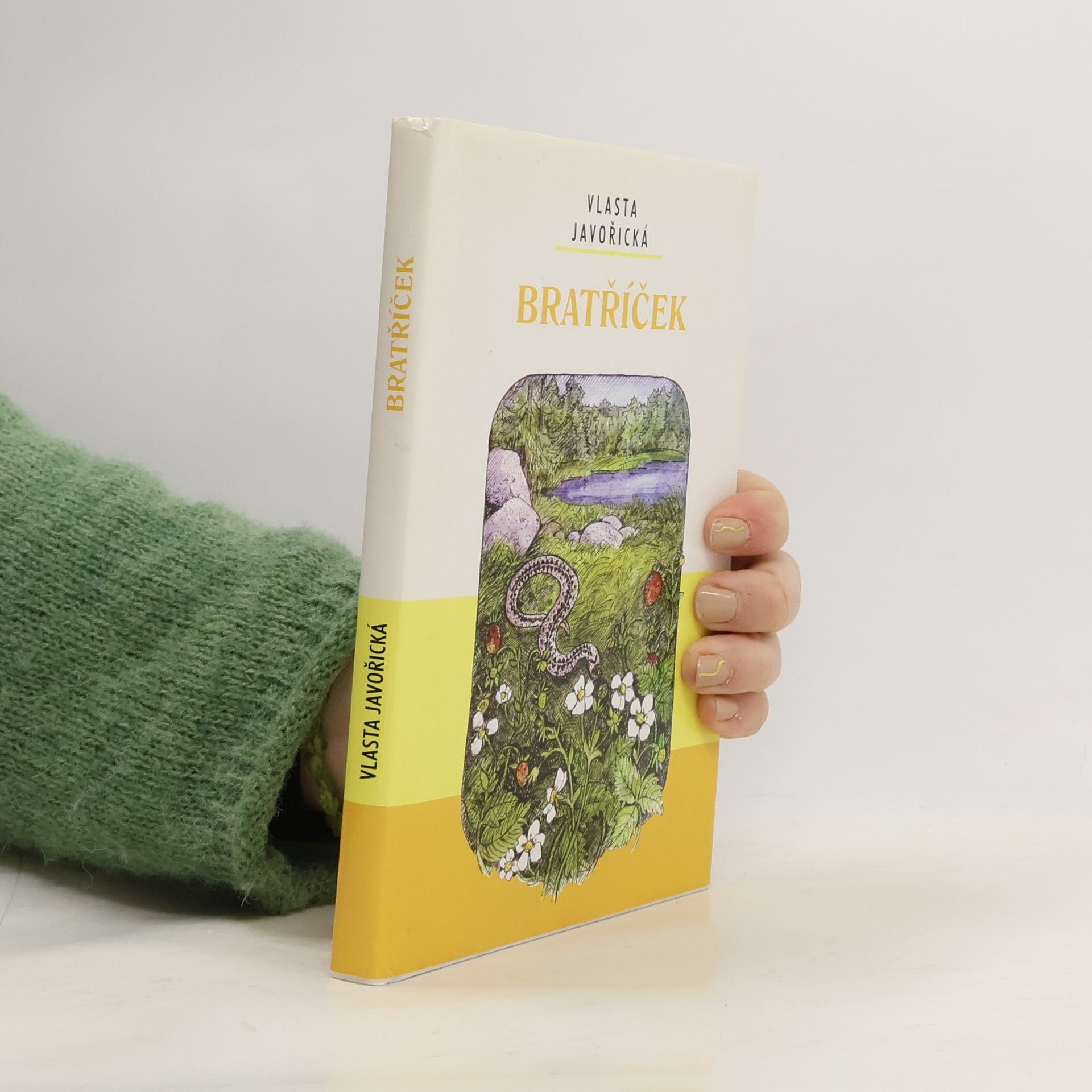 Vlasta Javořická Bratříček