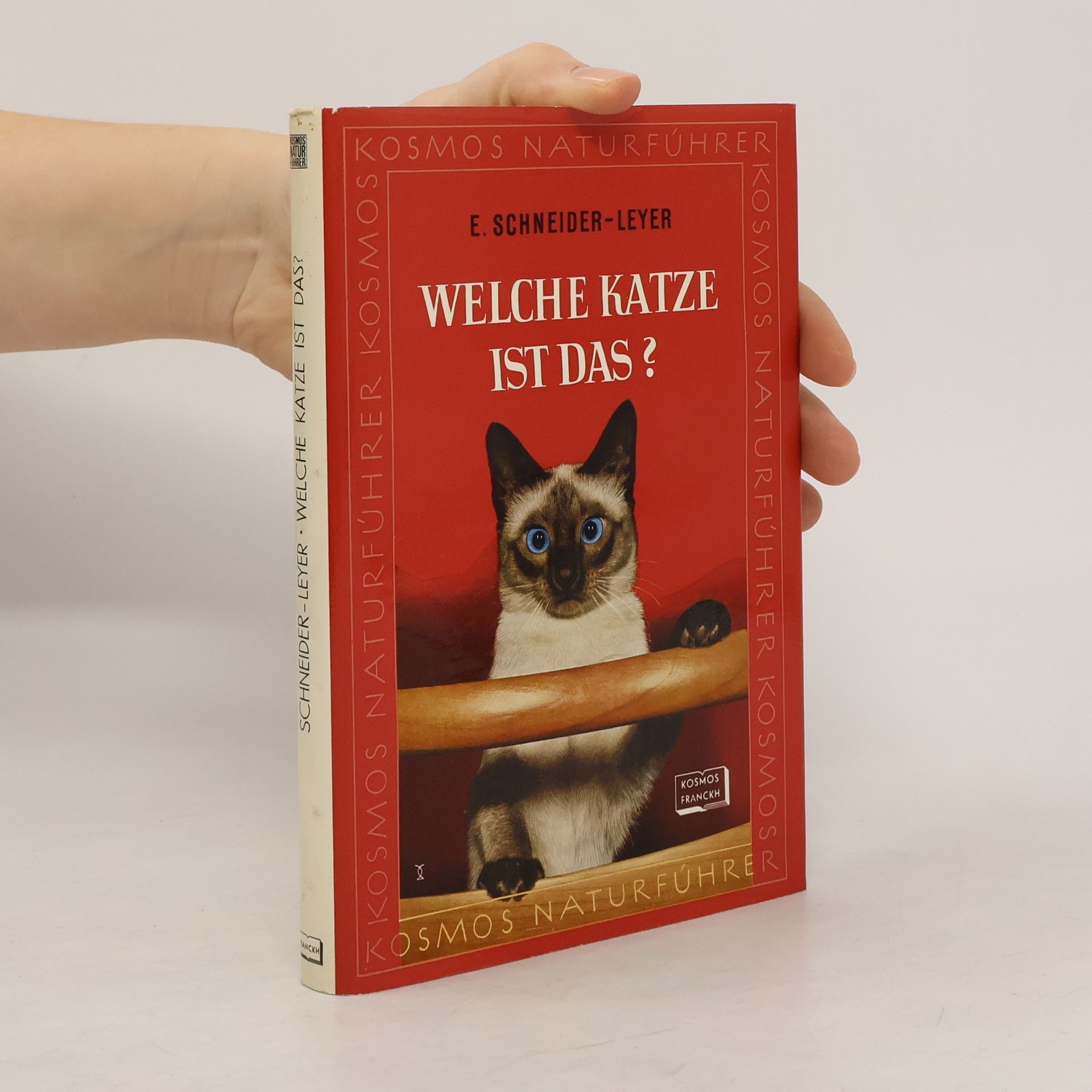 Erich Schneider-Wessling Welche Katze ist das?