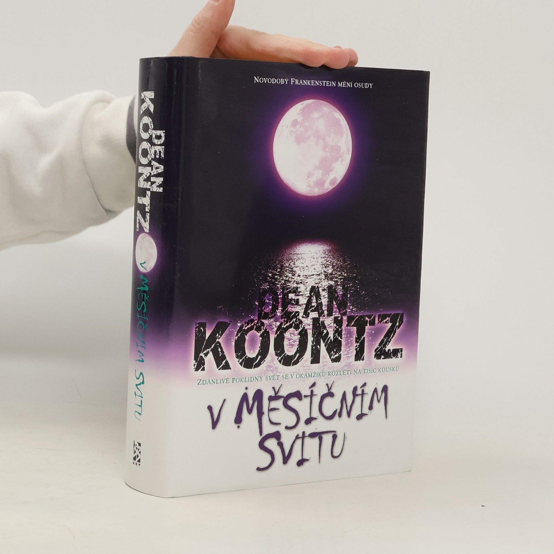 Dean R. Koontz V měsíčním svitu