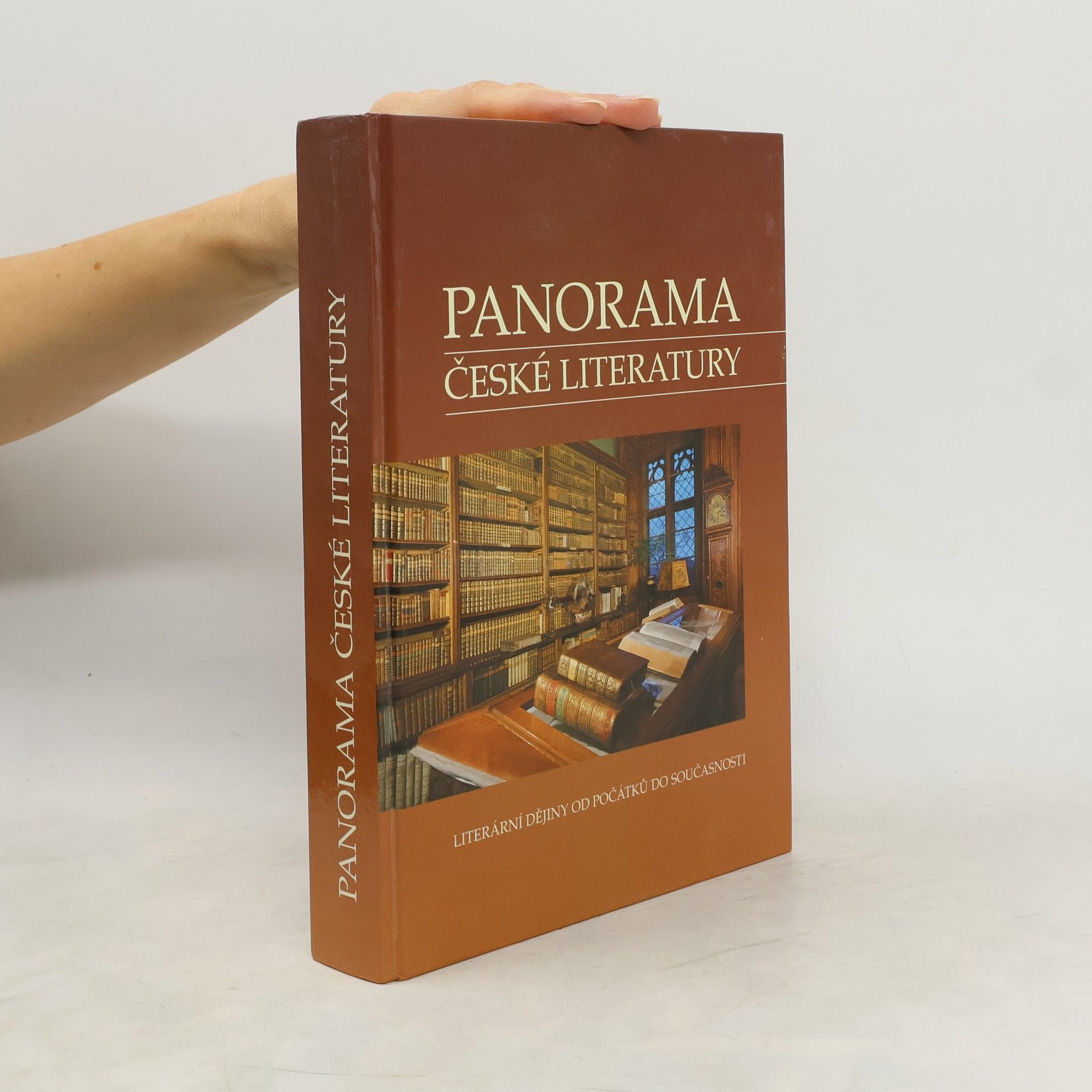 AA.VV. Panorama české literatury. Literární dějiny od počátků do současnosti