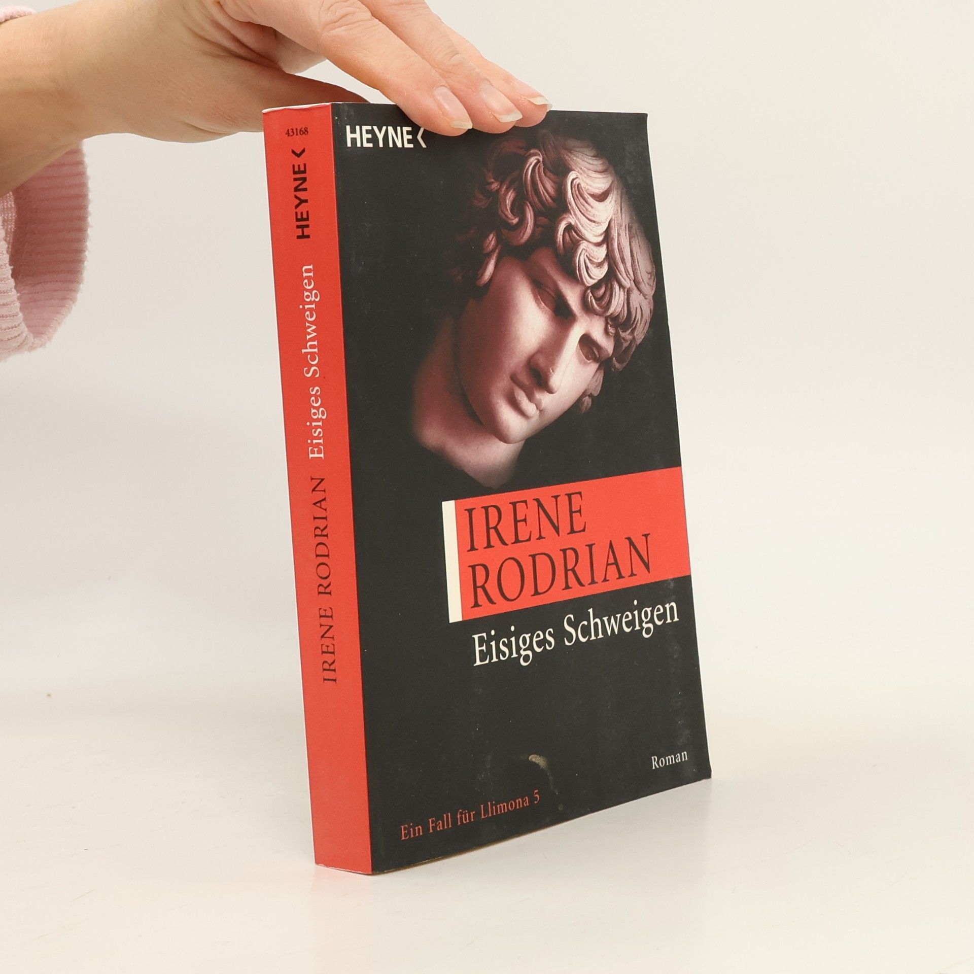 Irene Rodrian Llimona - 5: Eisiges Schweigen