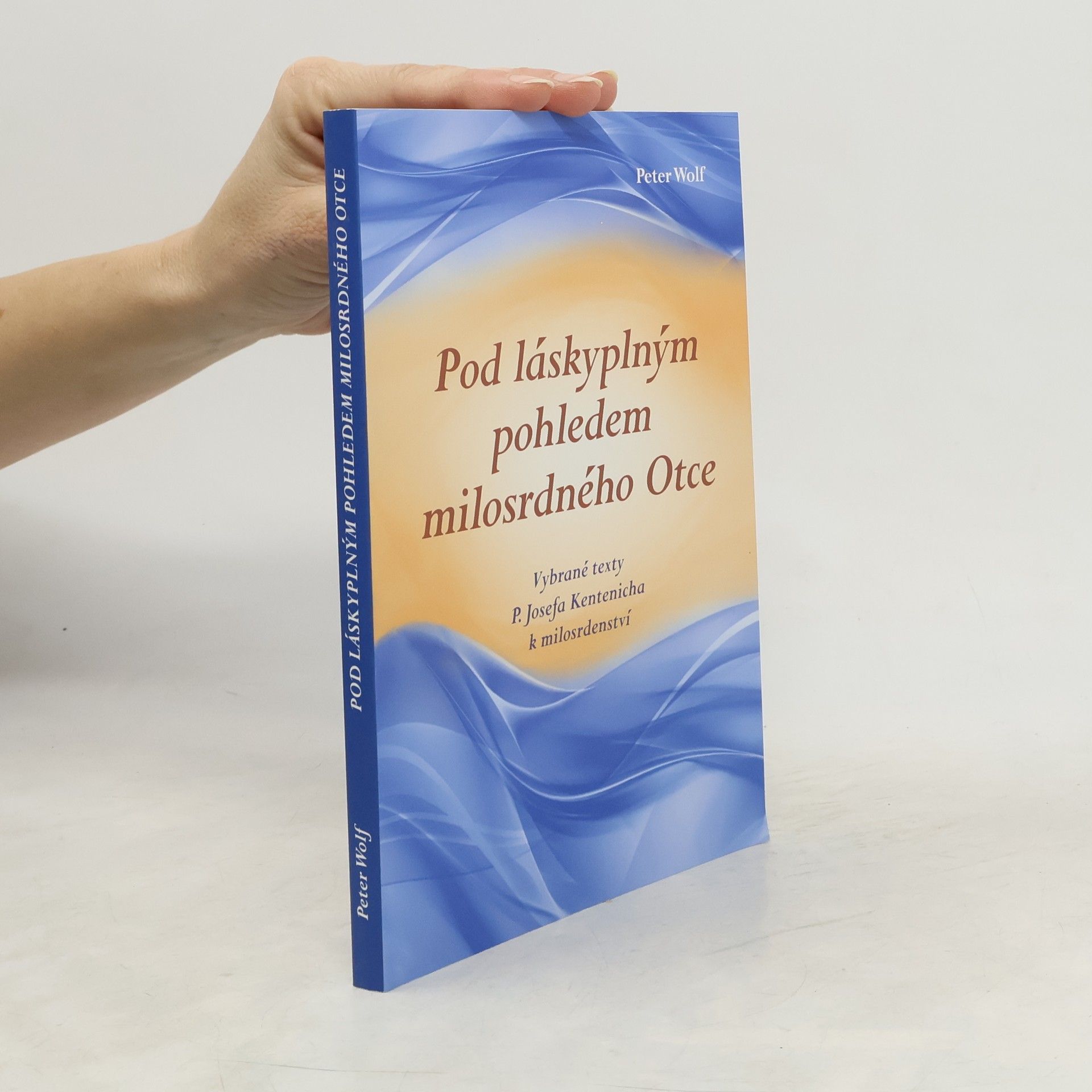 Pod láskyplnym pohledem milosrdného Otce