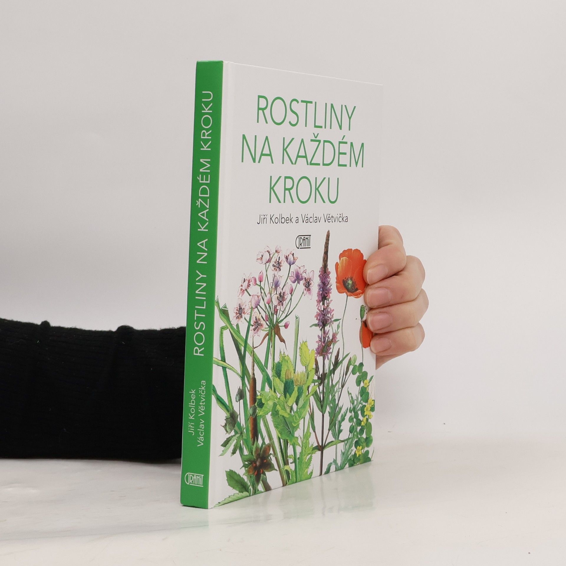 Rostliny na každém kroku