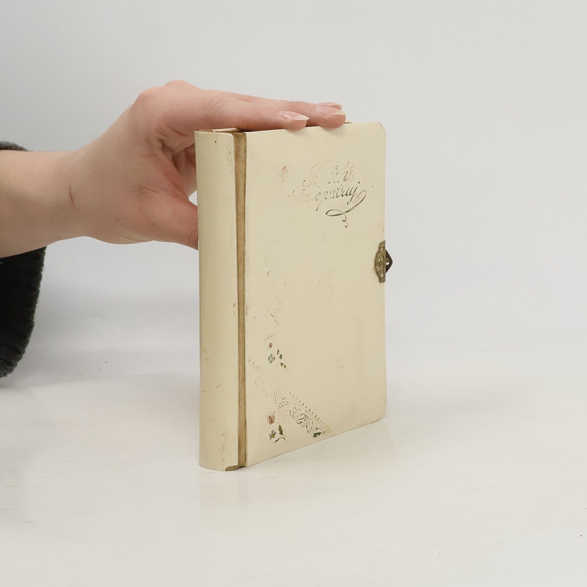 Kolektív autorov Malý kancionál, čili, Sbírka posvátných zpěvů a modliteb pro mládež katolickou arcidiecése olomucké