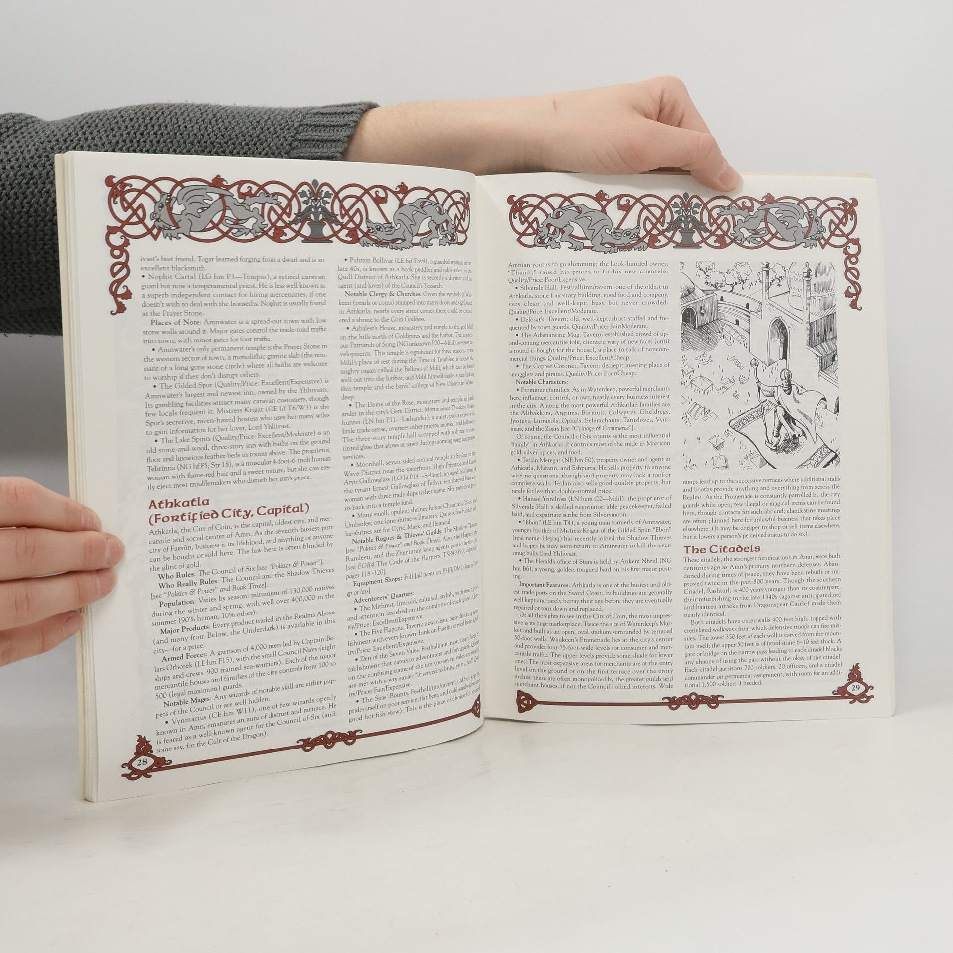 Steven E. Schend Forgotten Realms - 3: Lands of Intrigue