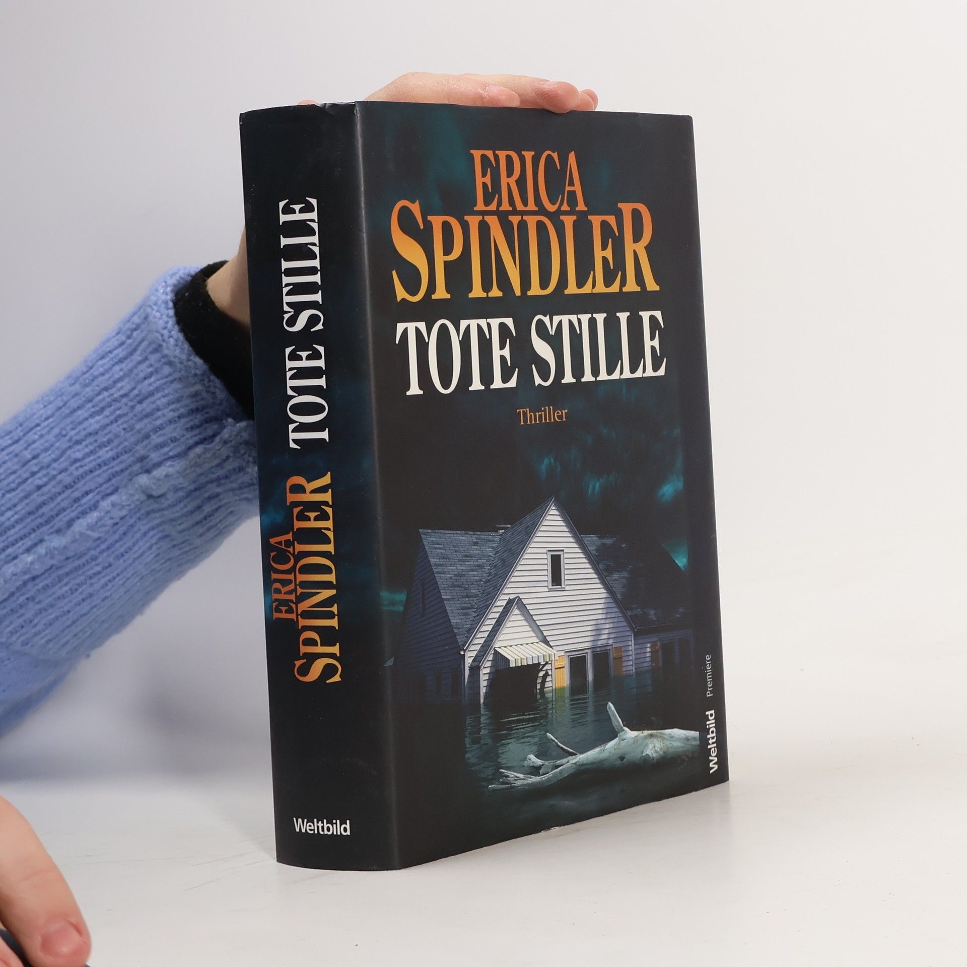 Erica Spindler Tote Stille