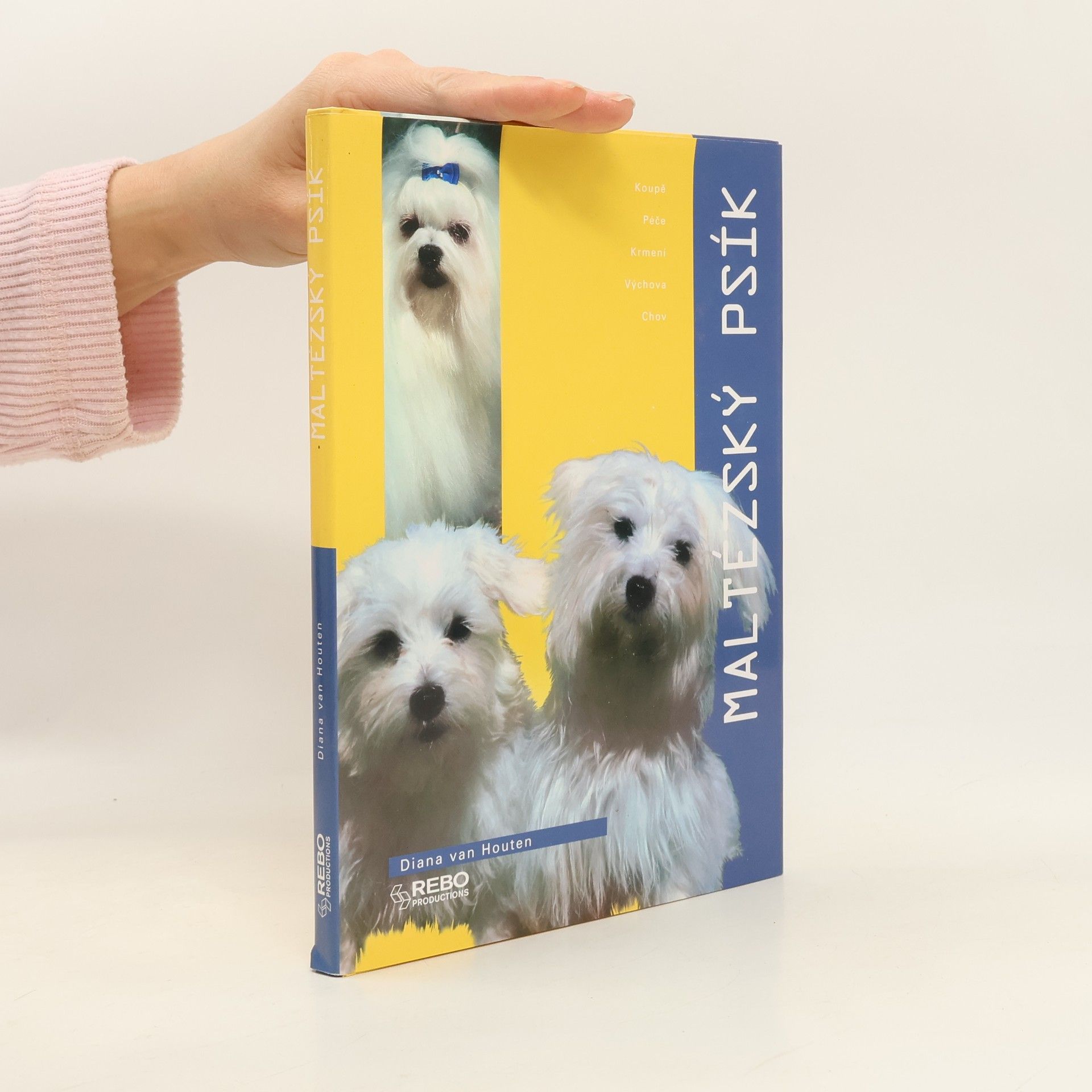 Maltézský psík: Koupě, péče, krmení, výchova, chov