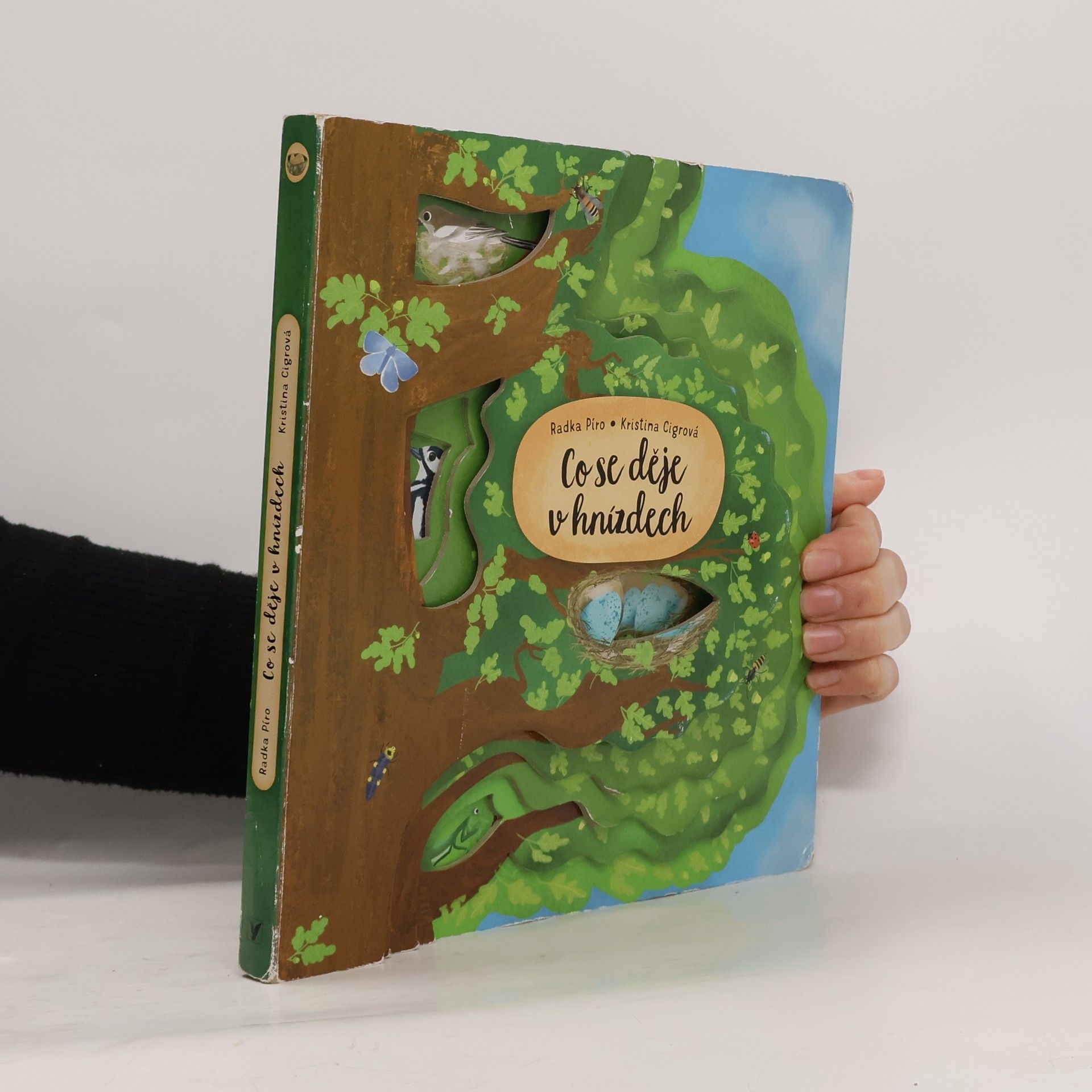 Radka Píro Co se děje v hnízdech