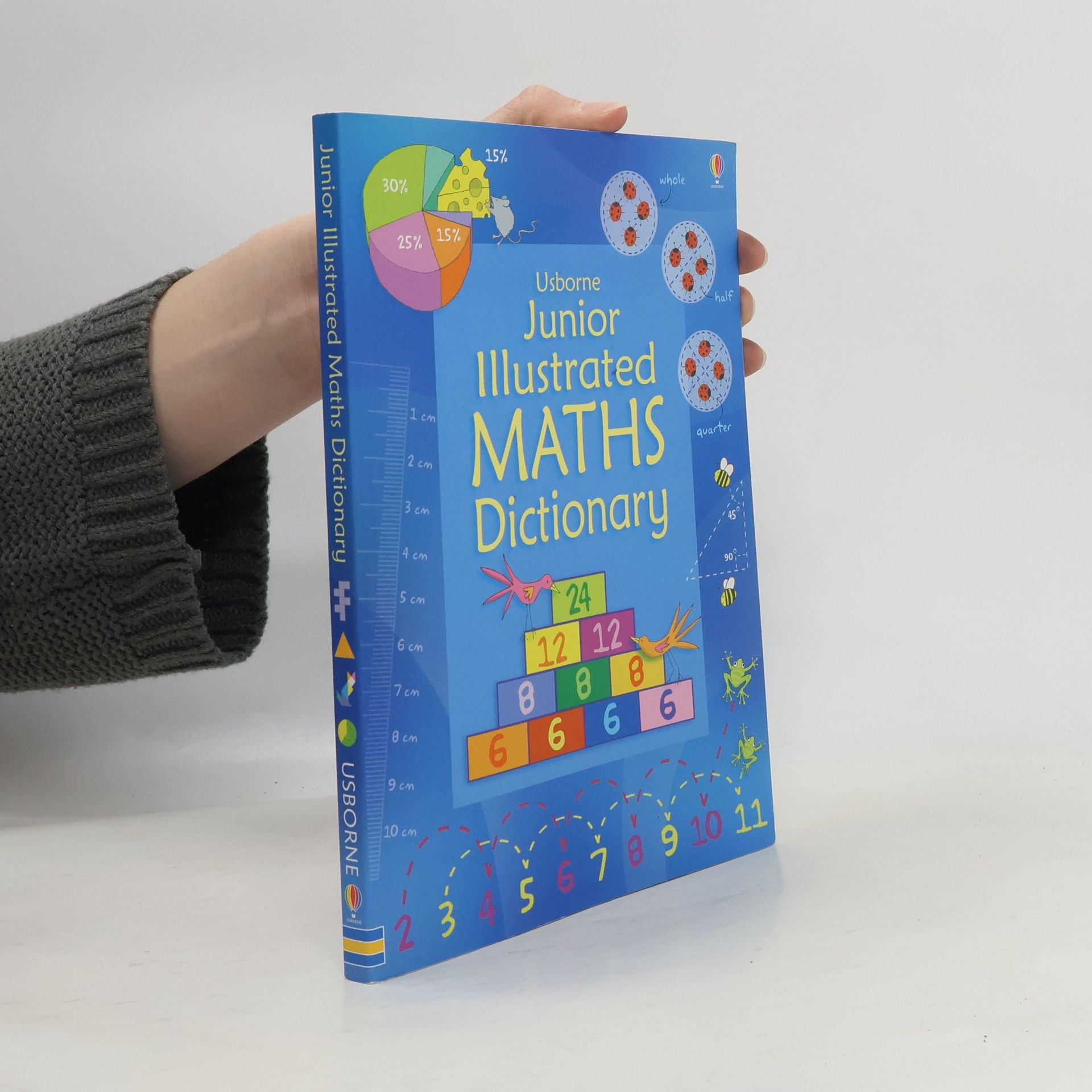 Kolektív autorov Junior Illustrated Maths Dictionary