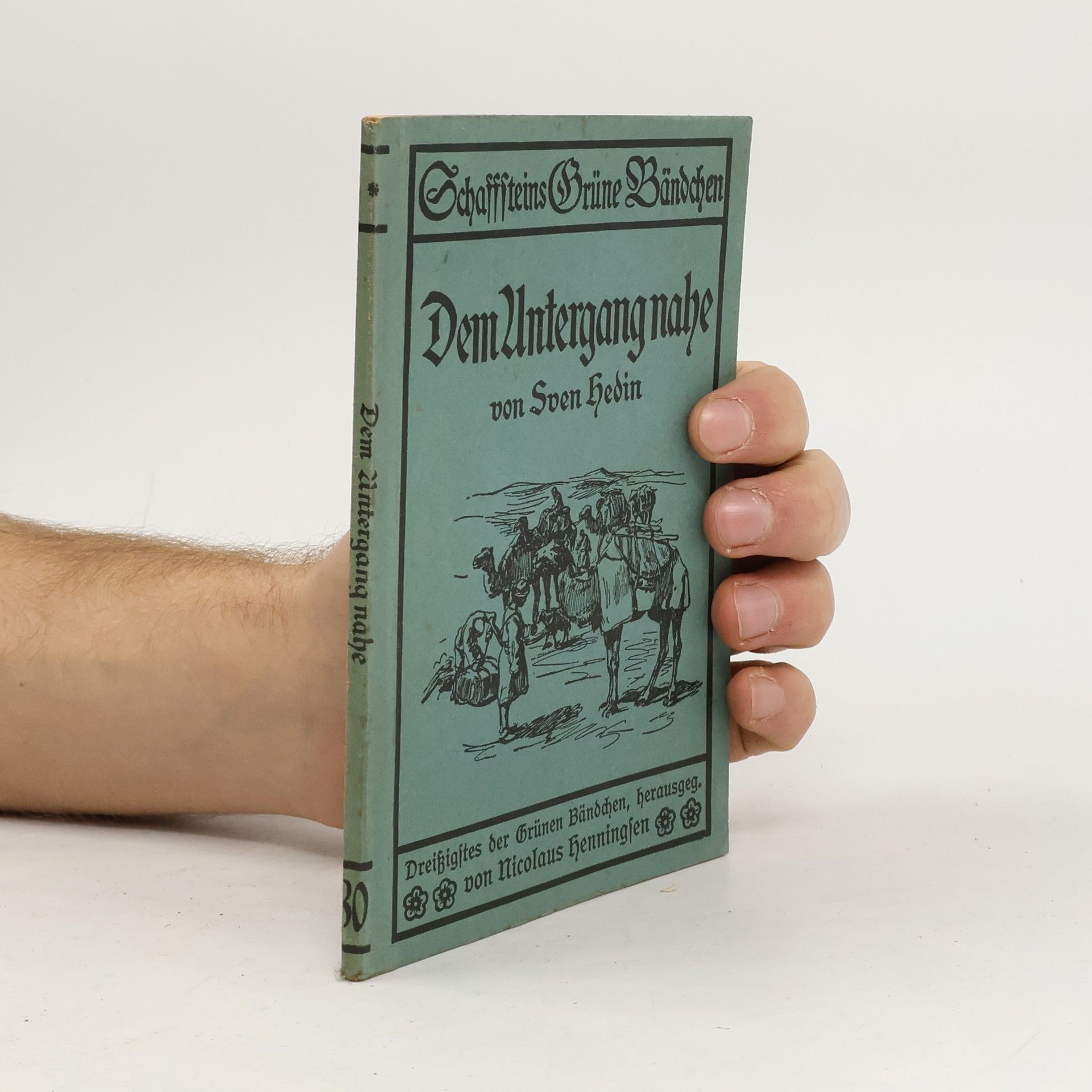 Sven Hedin Dem Untergang nahe! Eine Unglücksreise durch die Wüste Takla-makan von Sven Hedin