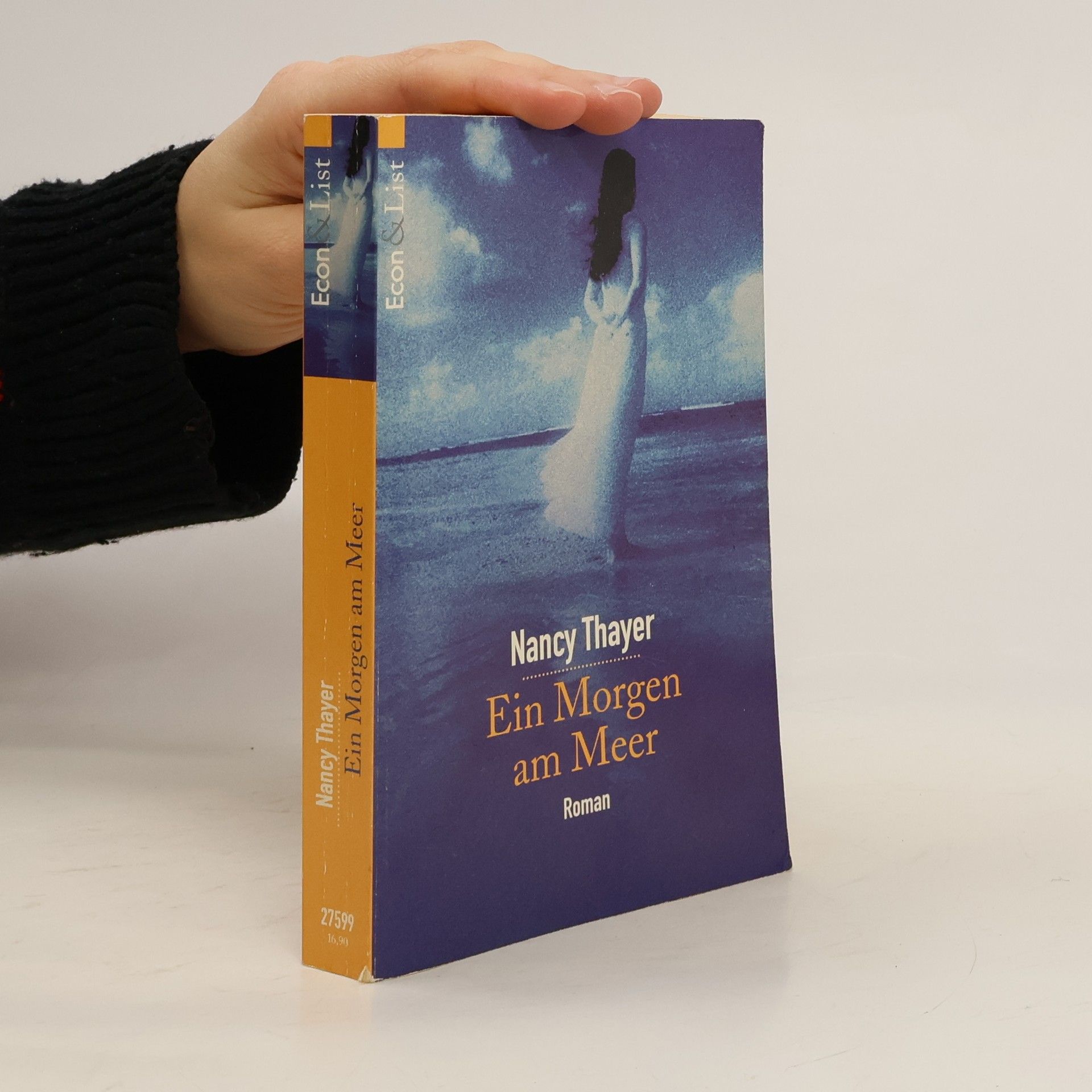 Nancy Thayer Ein Morgen am Meer