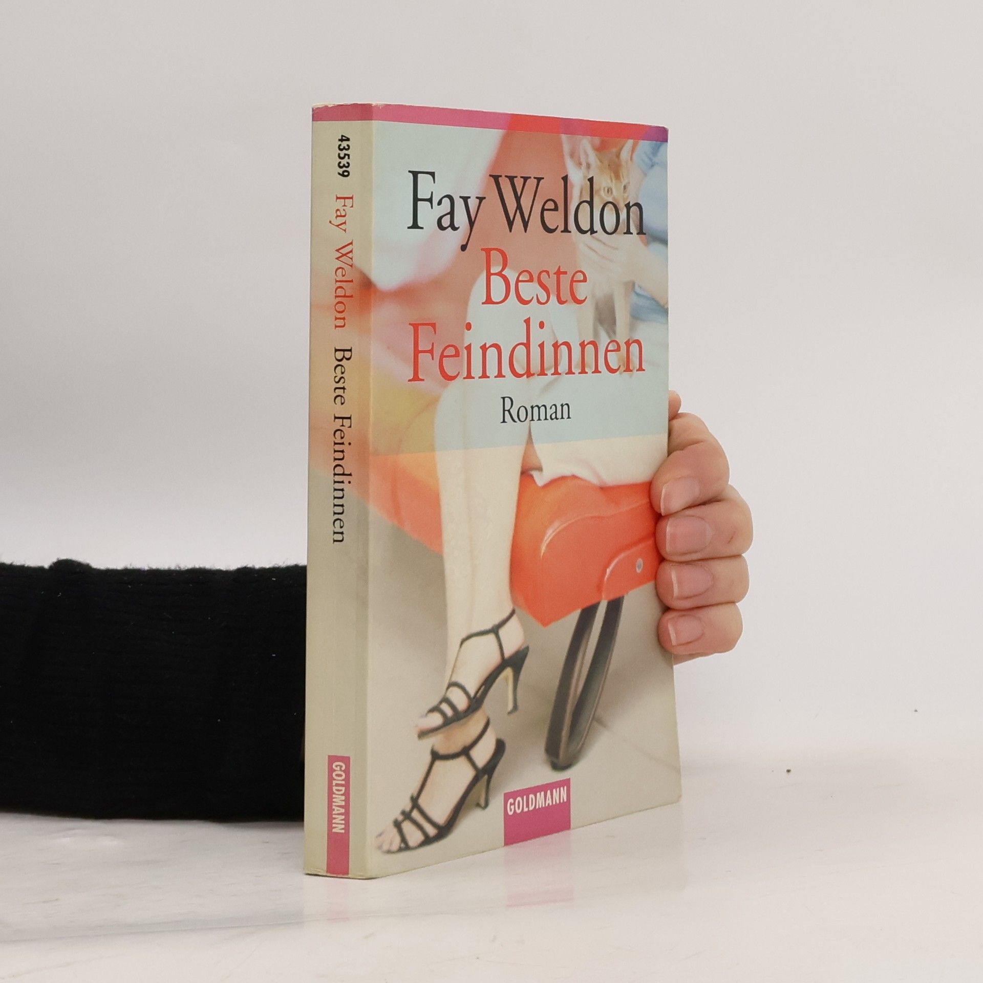 Fay Weldon Beste Feindinnen