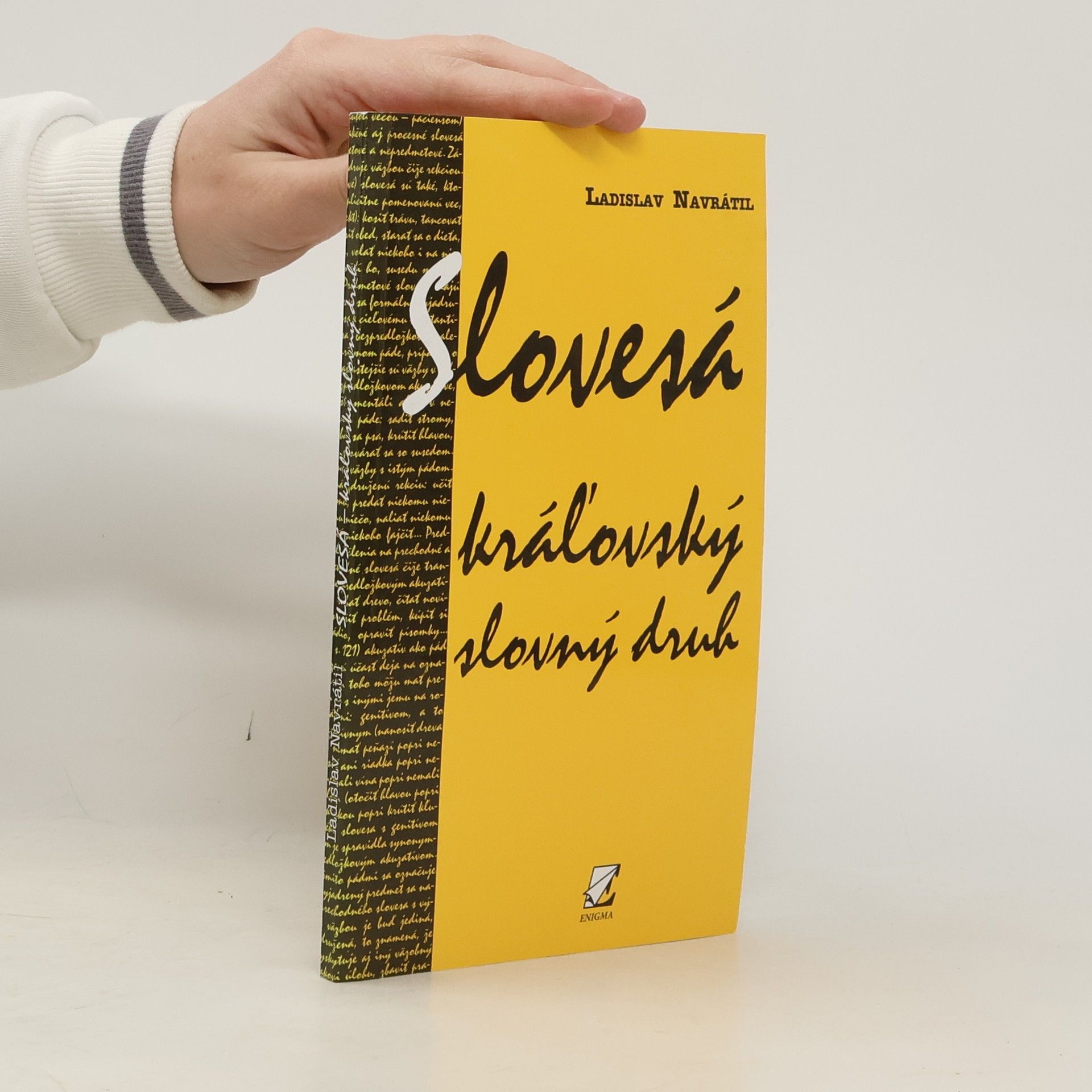 Ladislav Navrátil Slovesá - kráľovský slovný druh