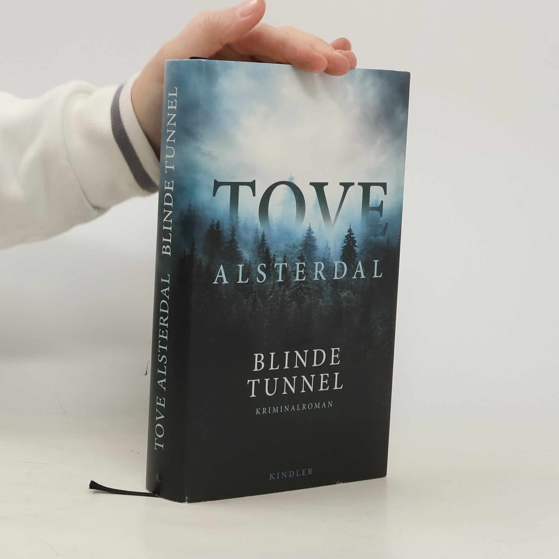 Tove Alsterdal Blinde Tunnel