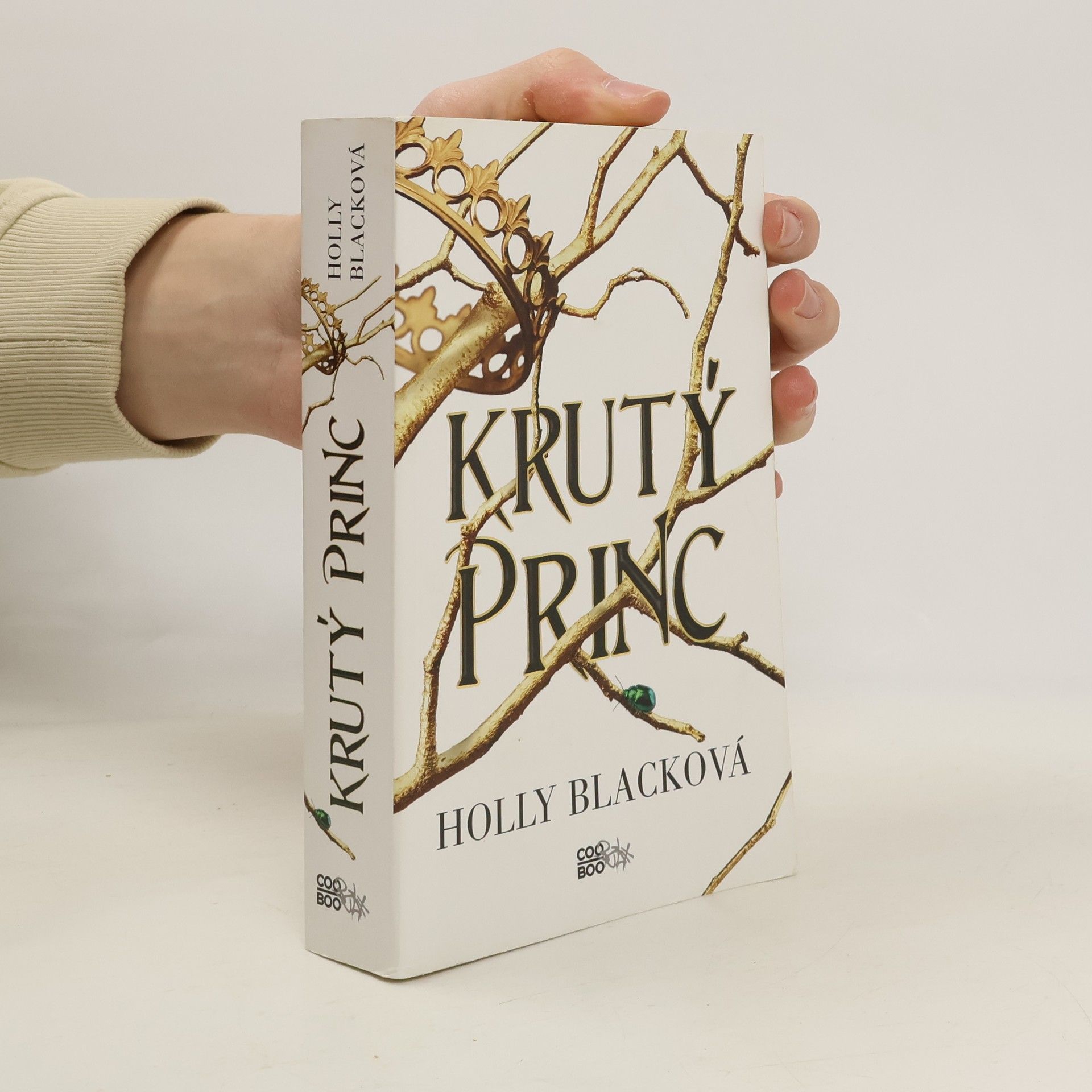 Holly Black Krutý princ