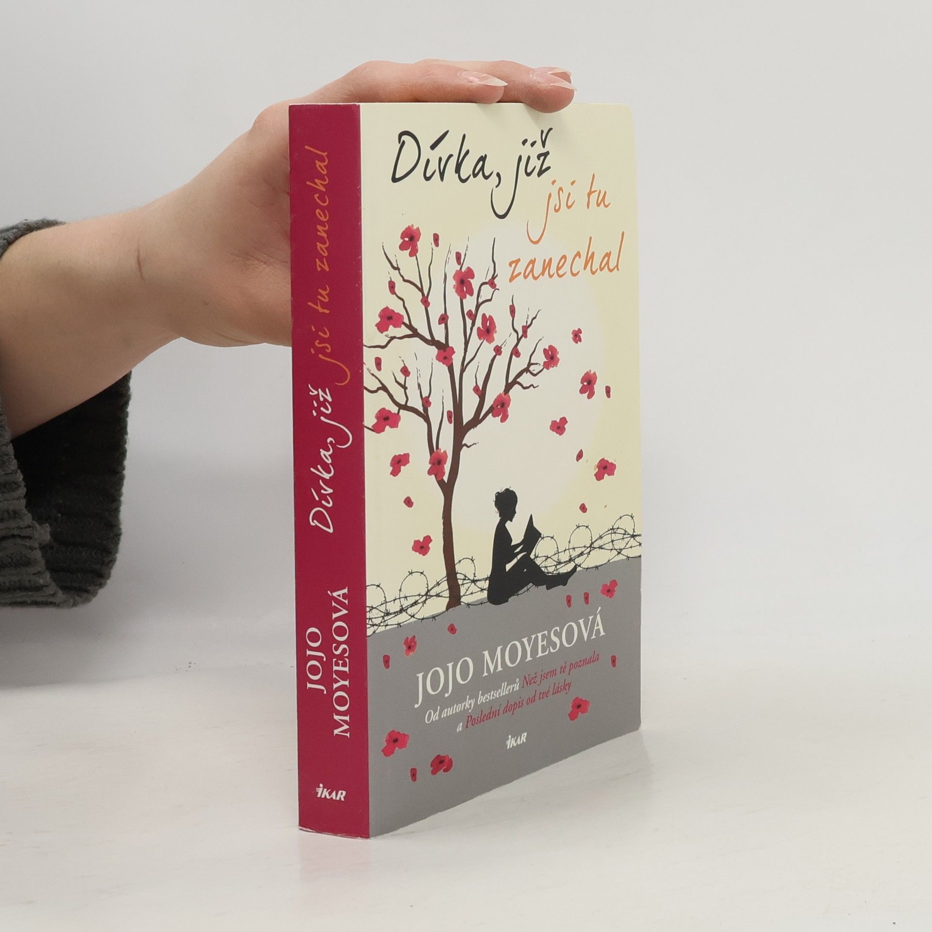 Jojo Moyes Dívka, již jsi tu zanechal