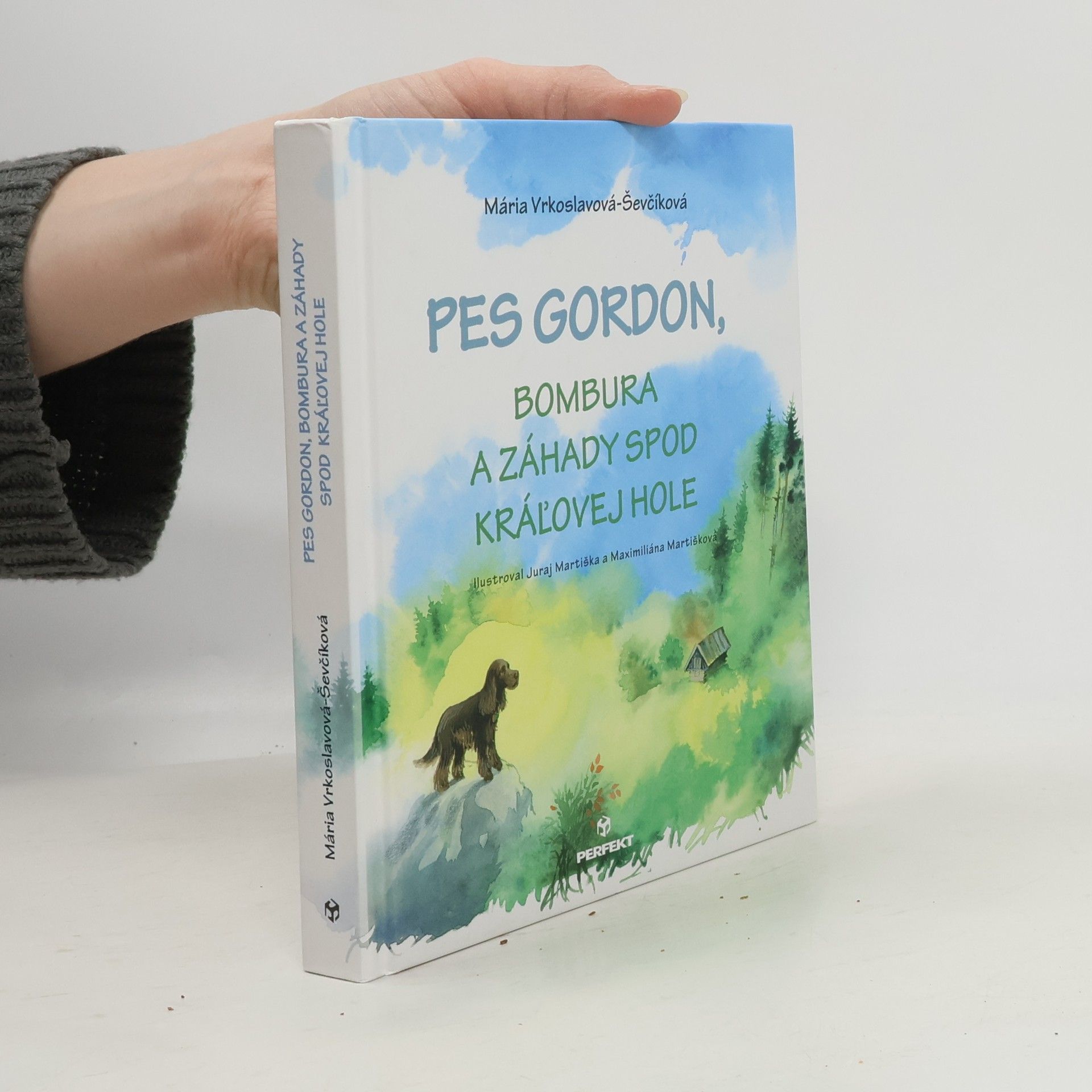 Pes Gordon,Bombura a záhady spod kráľovej hole