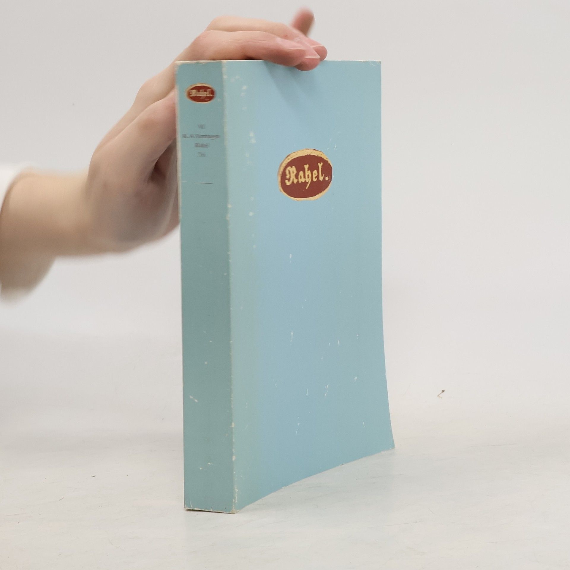 Rahel VI. Briefwechsel zwischen Varnhagen und Rahel