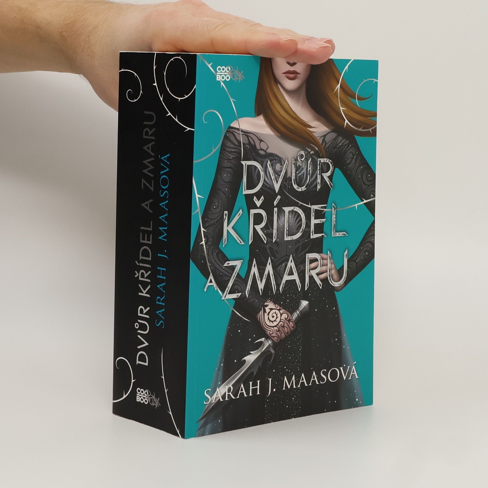 Sarah J. Maasová Dvůr křídel a zmaru