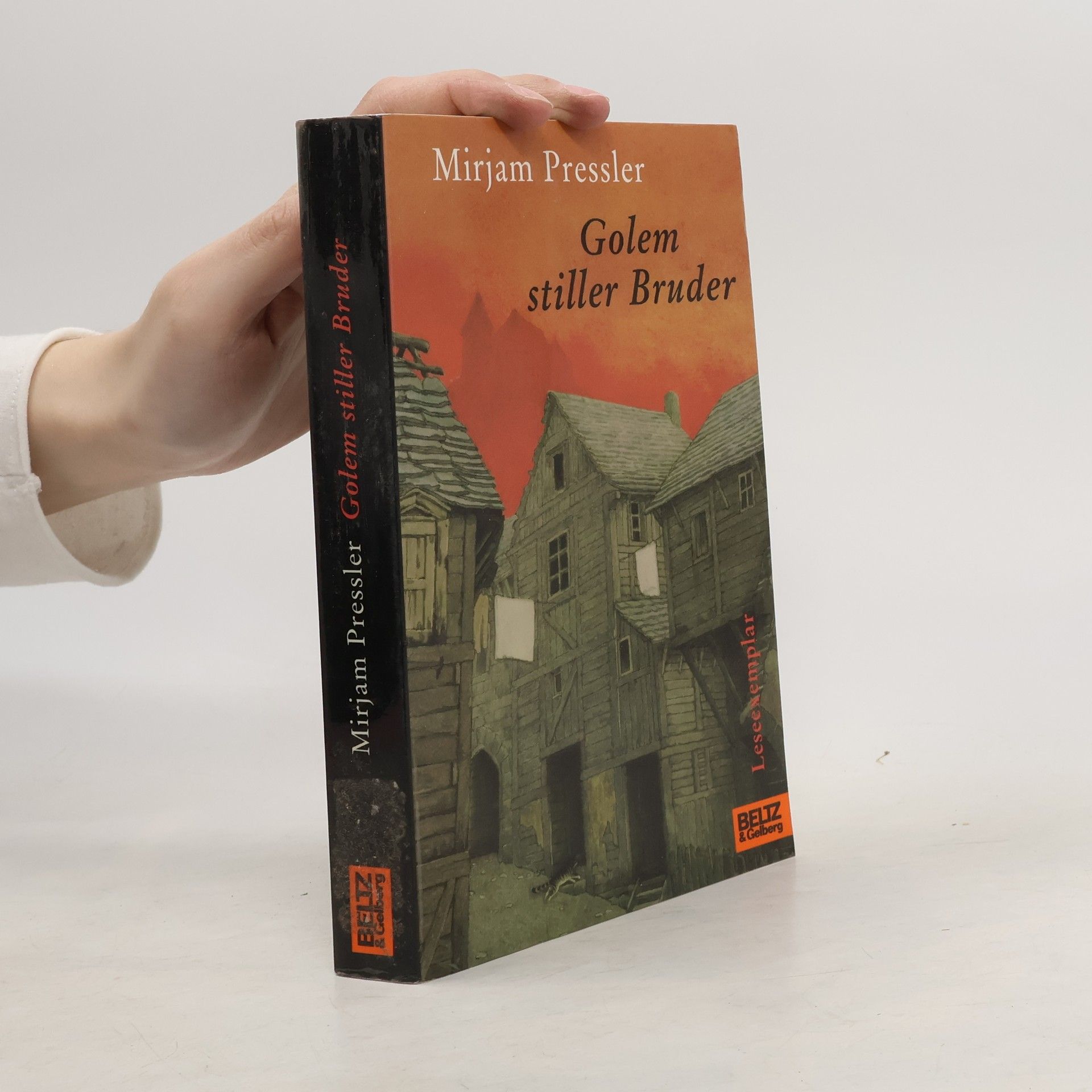 Mirjam Pressler Golem, stiller Bruder