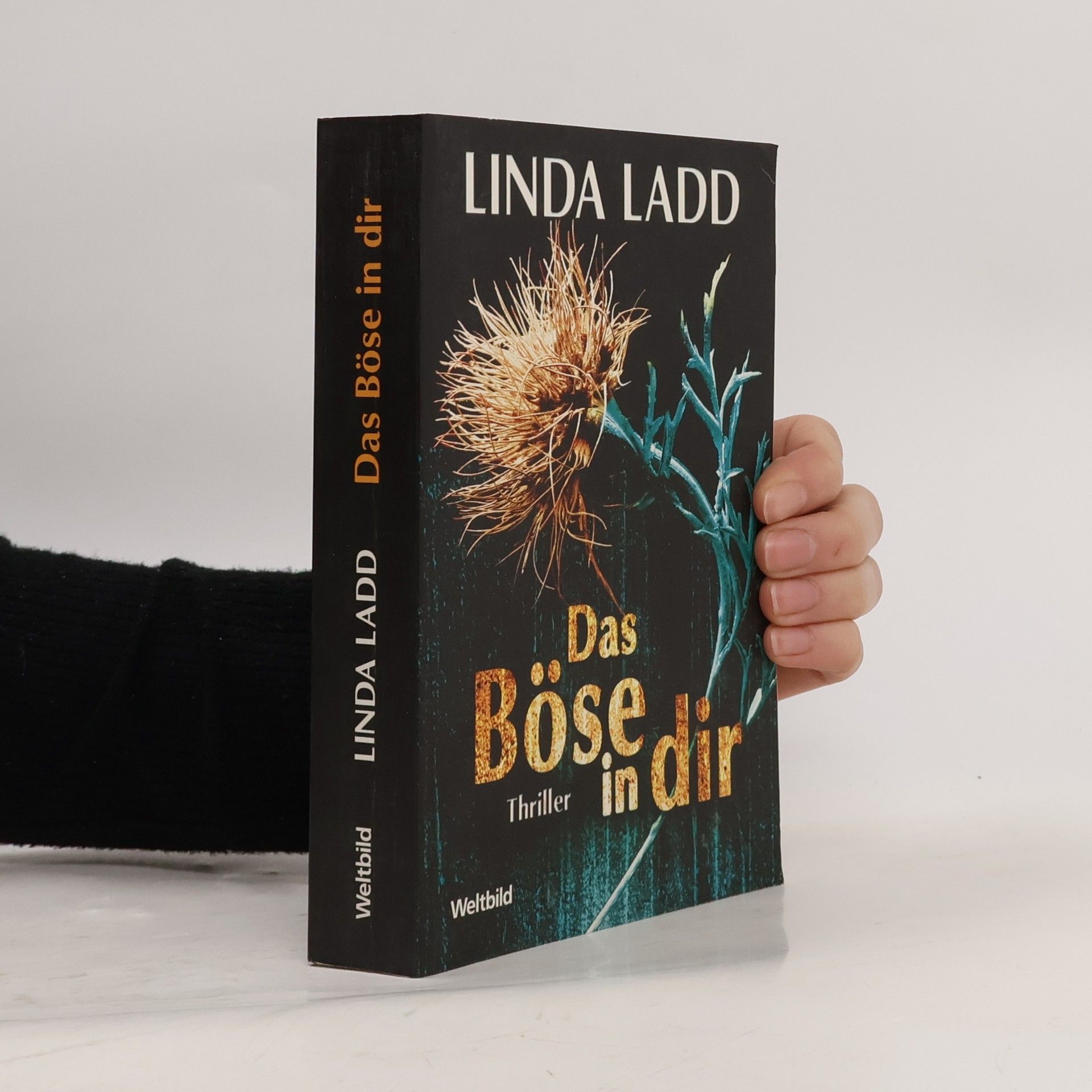 Linda Ladd Das Böse in dir
