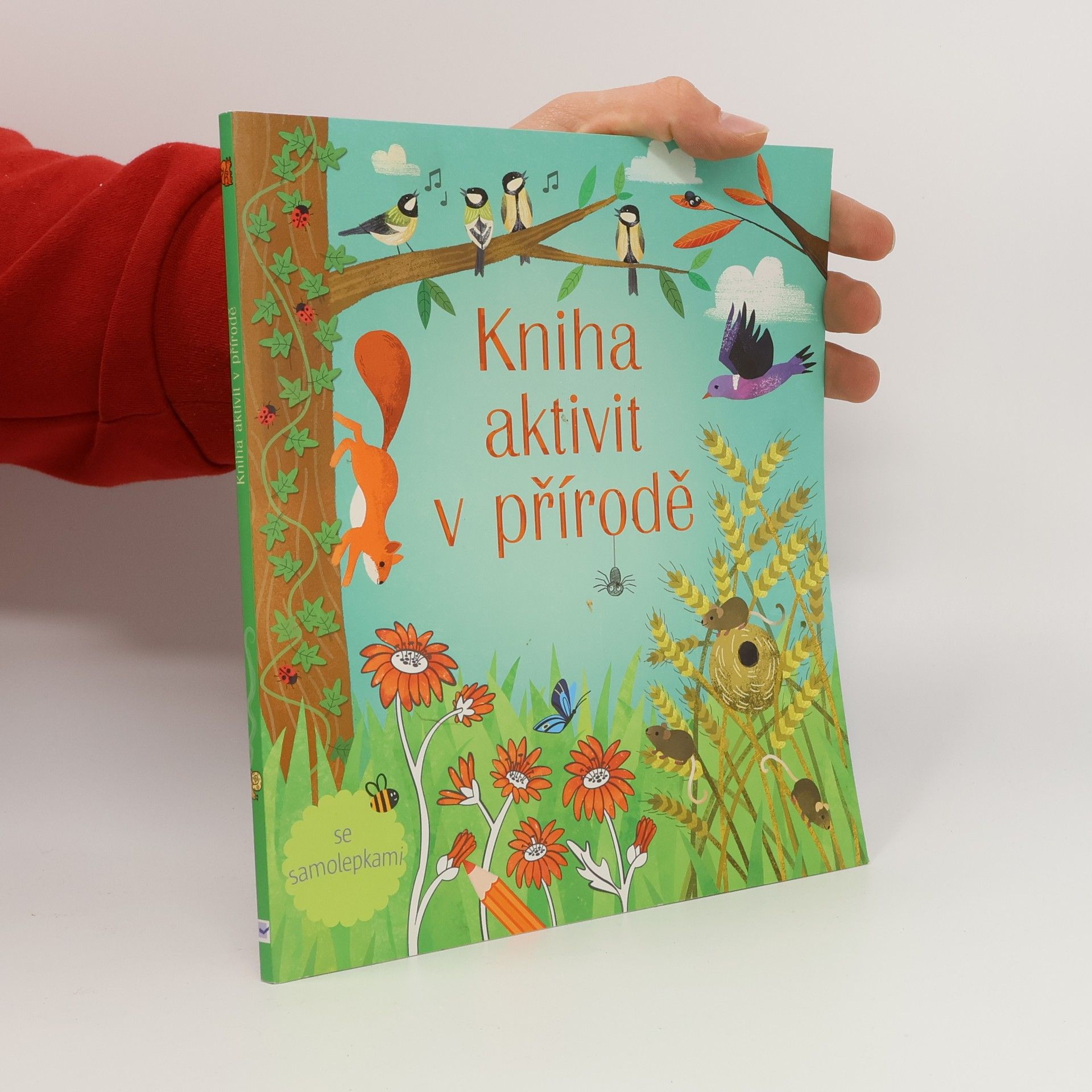 Rebecca Gilpin Kniha aktivit v přírodě