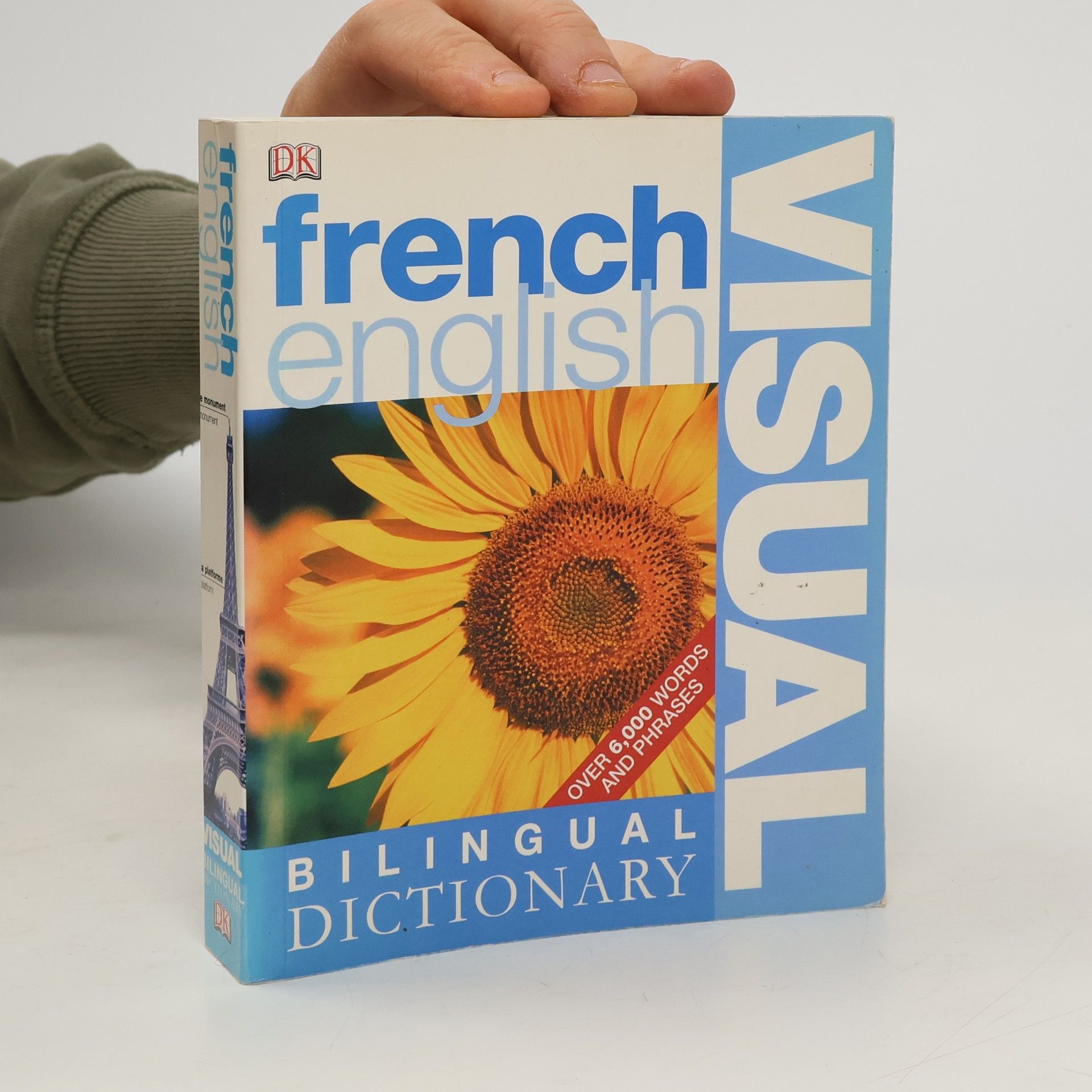 Bilingual visual dictionary