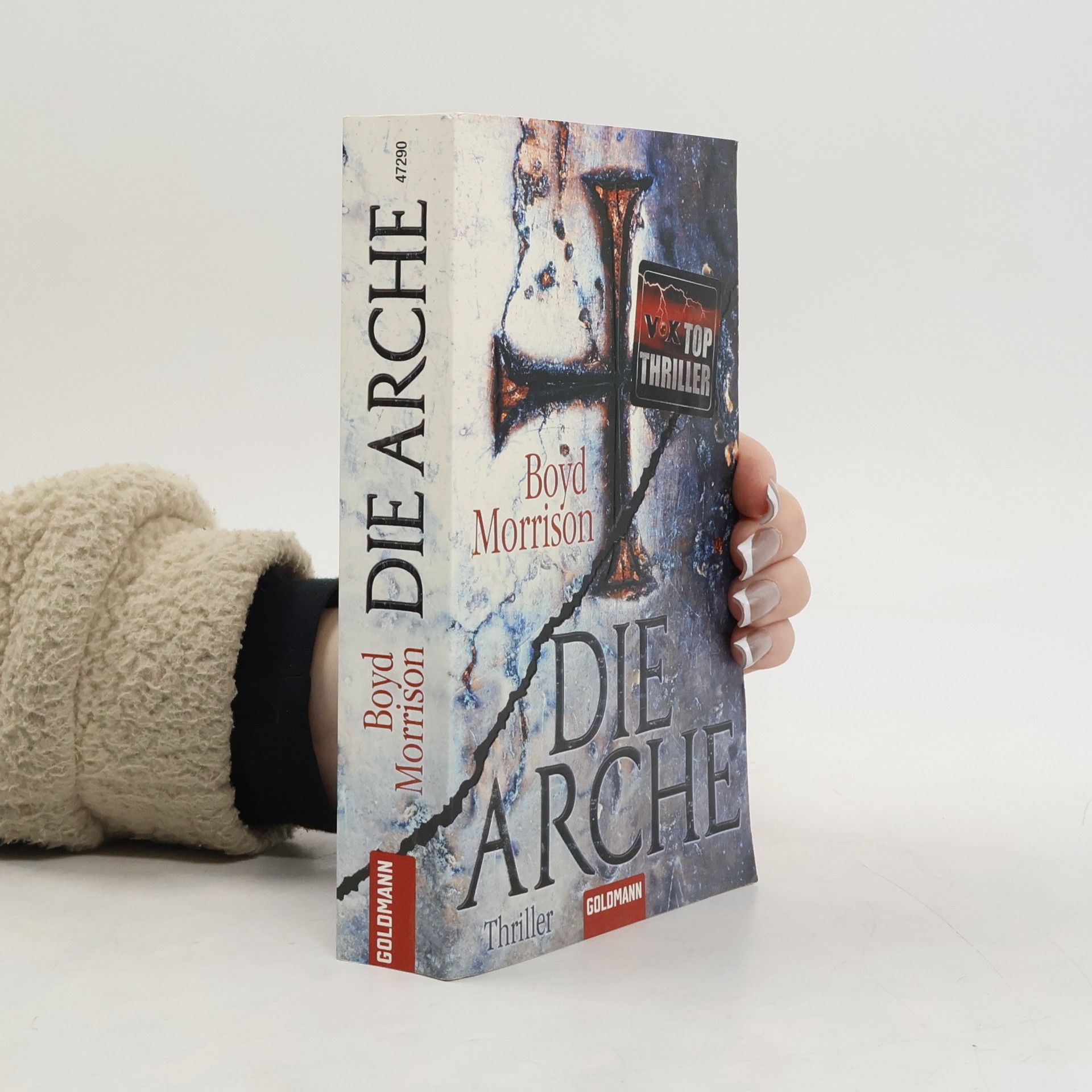 Boyd Morrison Die Arche