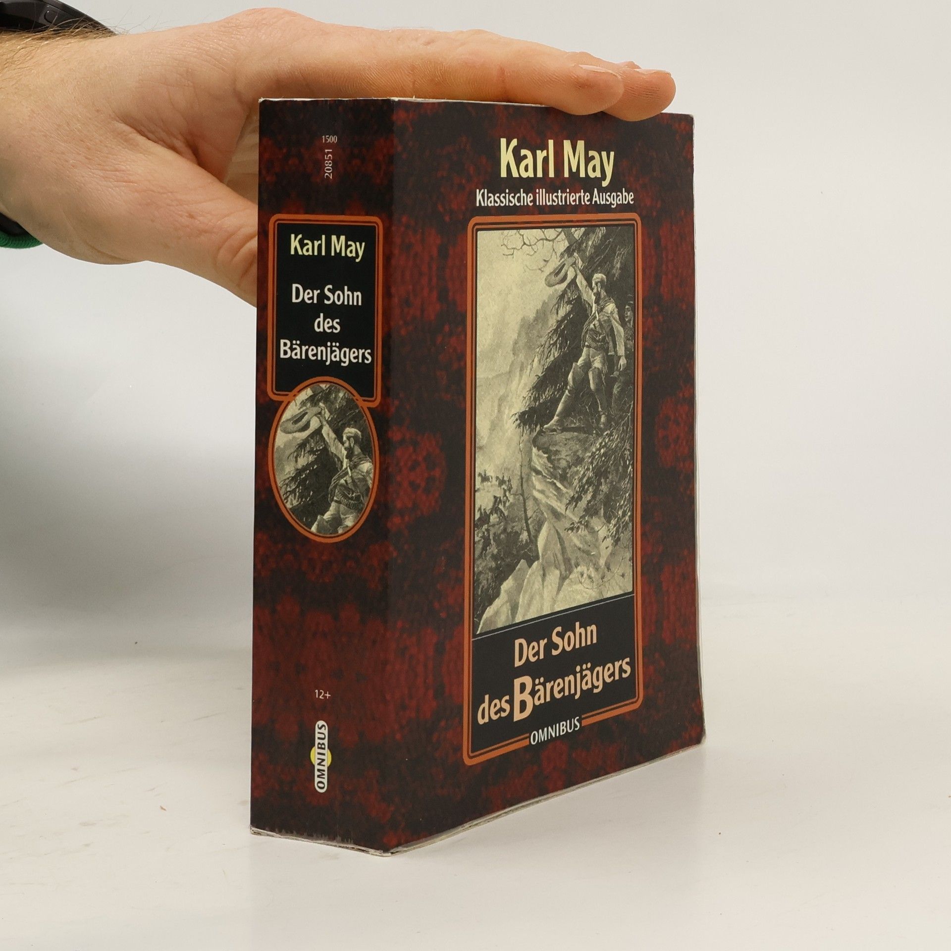 Der Sohn des Bärenjägers: klassische illustrierte Ausgabe