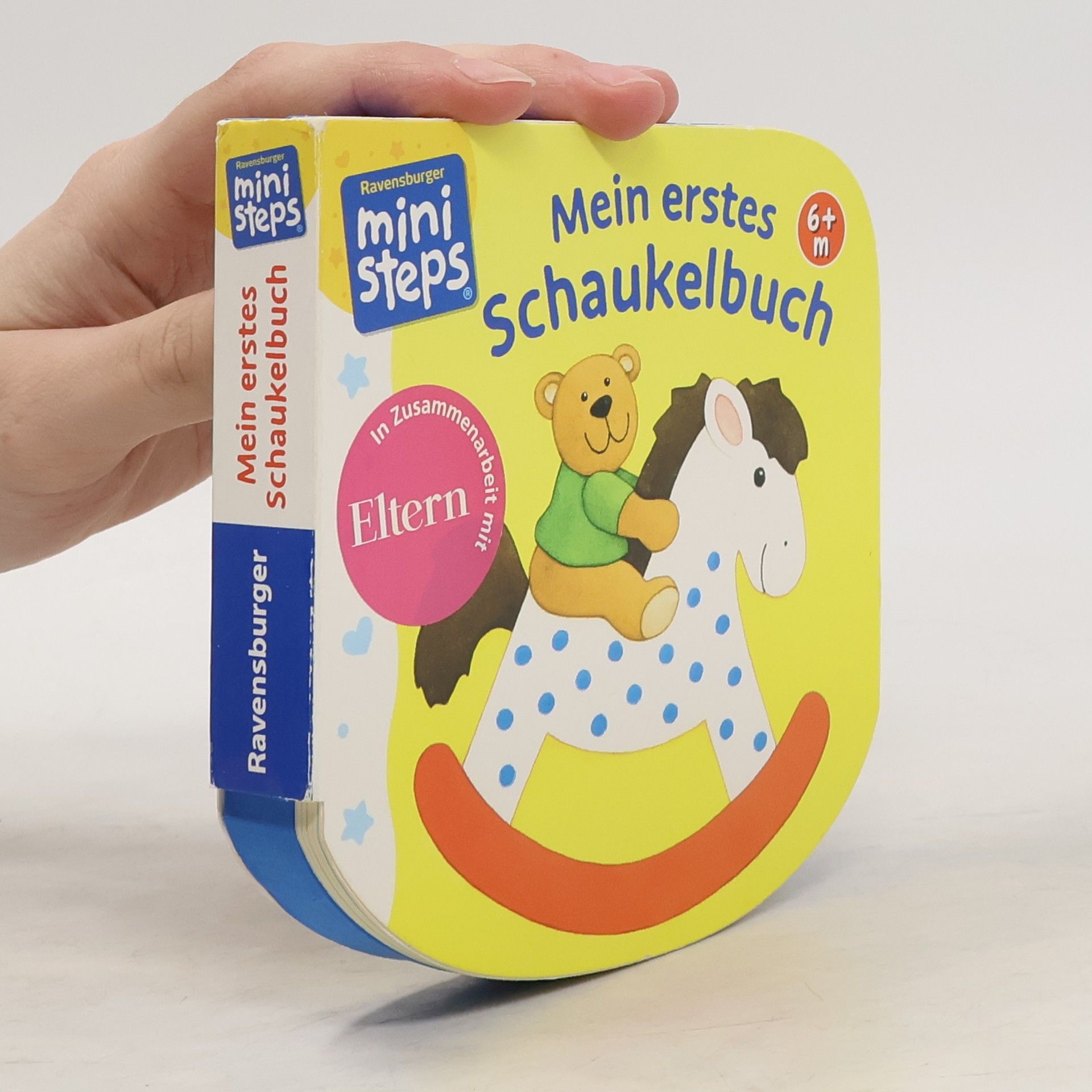 Monika Neubacher Fesser Mein erstes Schaukelbuch