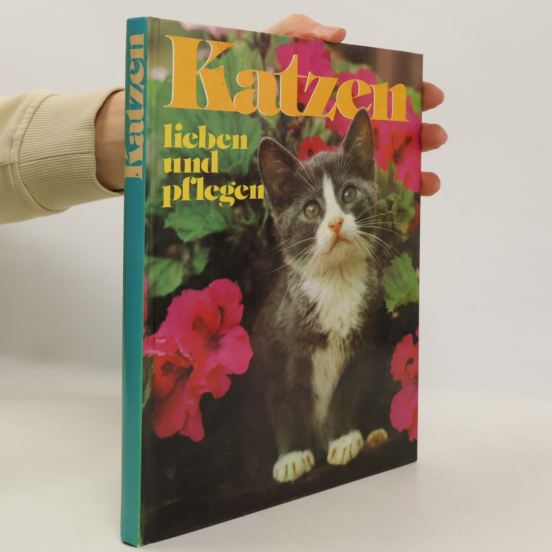 Auteurscollectief Katzen lieben und pflegen