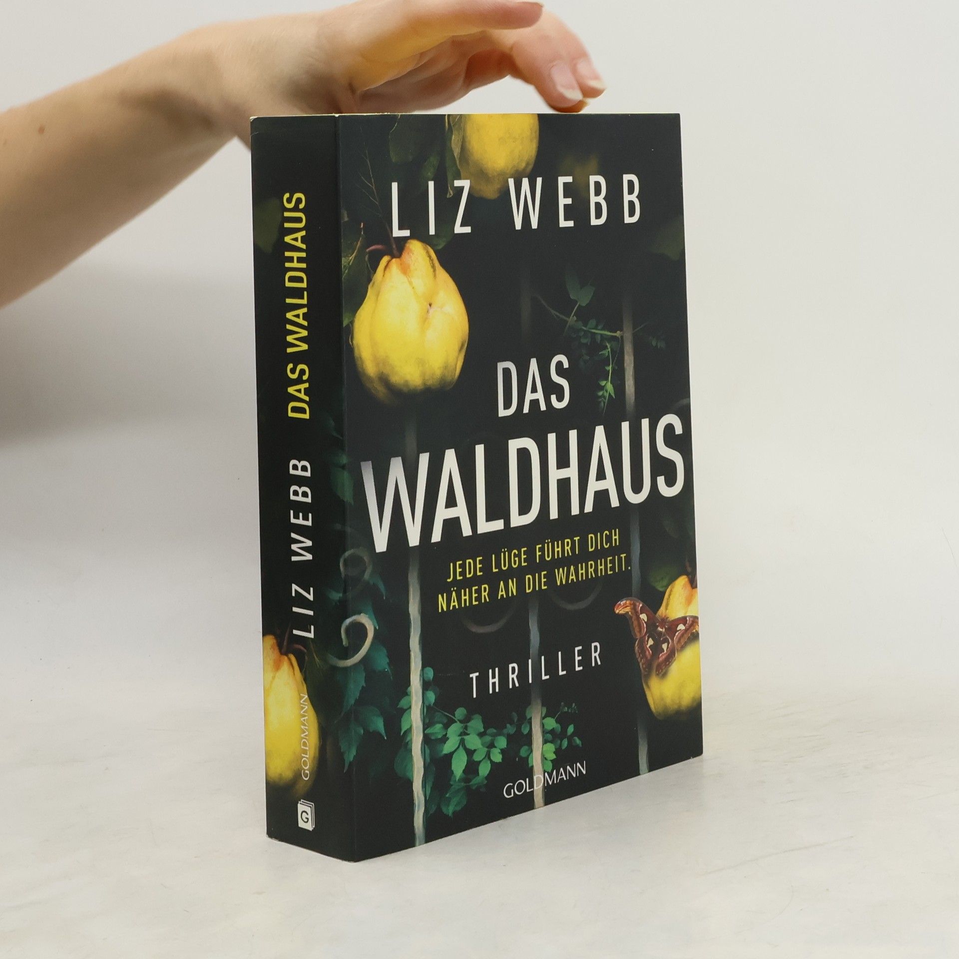 Liz Webb Das Waldhaus