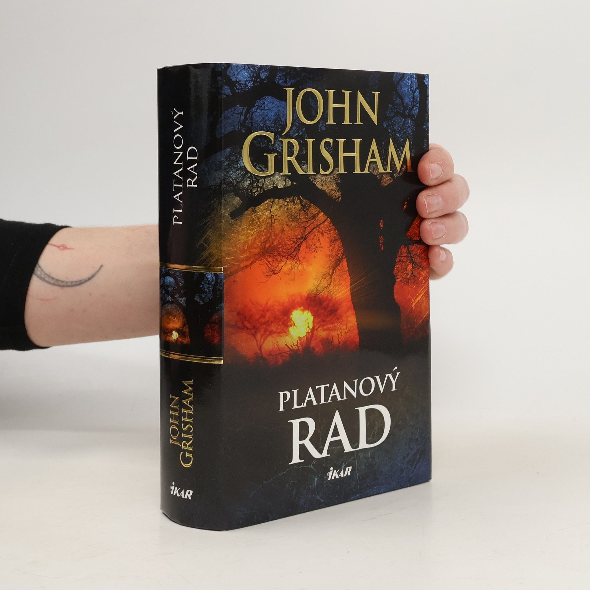 John Grisham Platanový rad