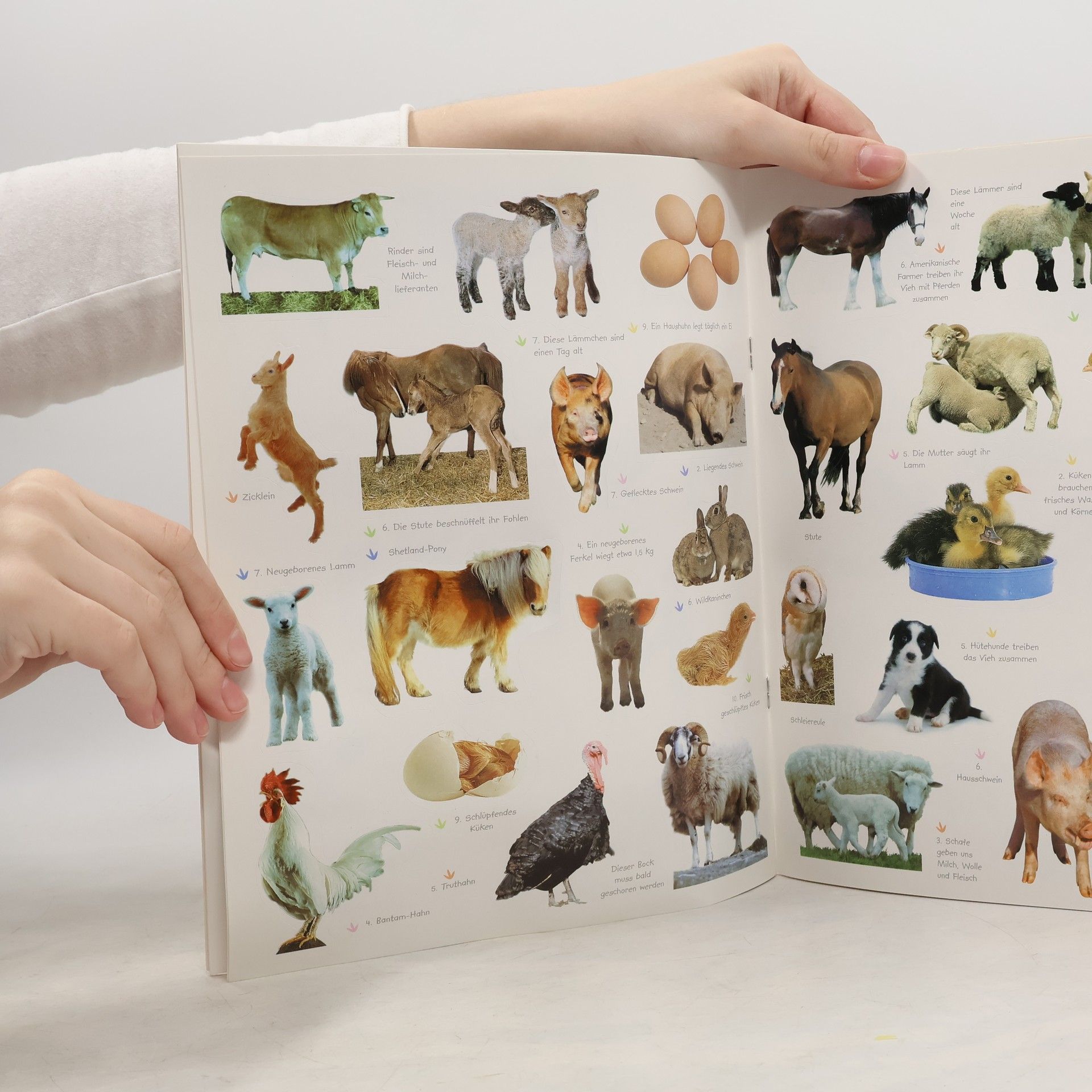 Mein Sticker-Buch: Tiere auf dem Bauernhof