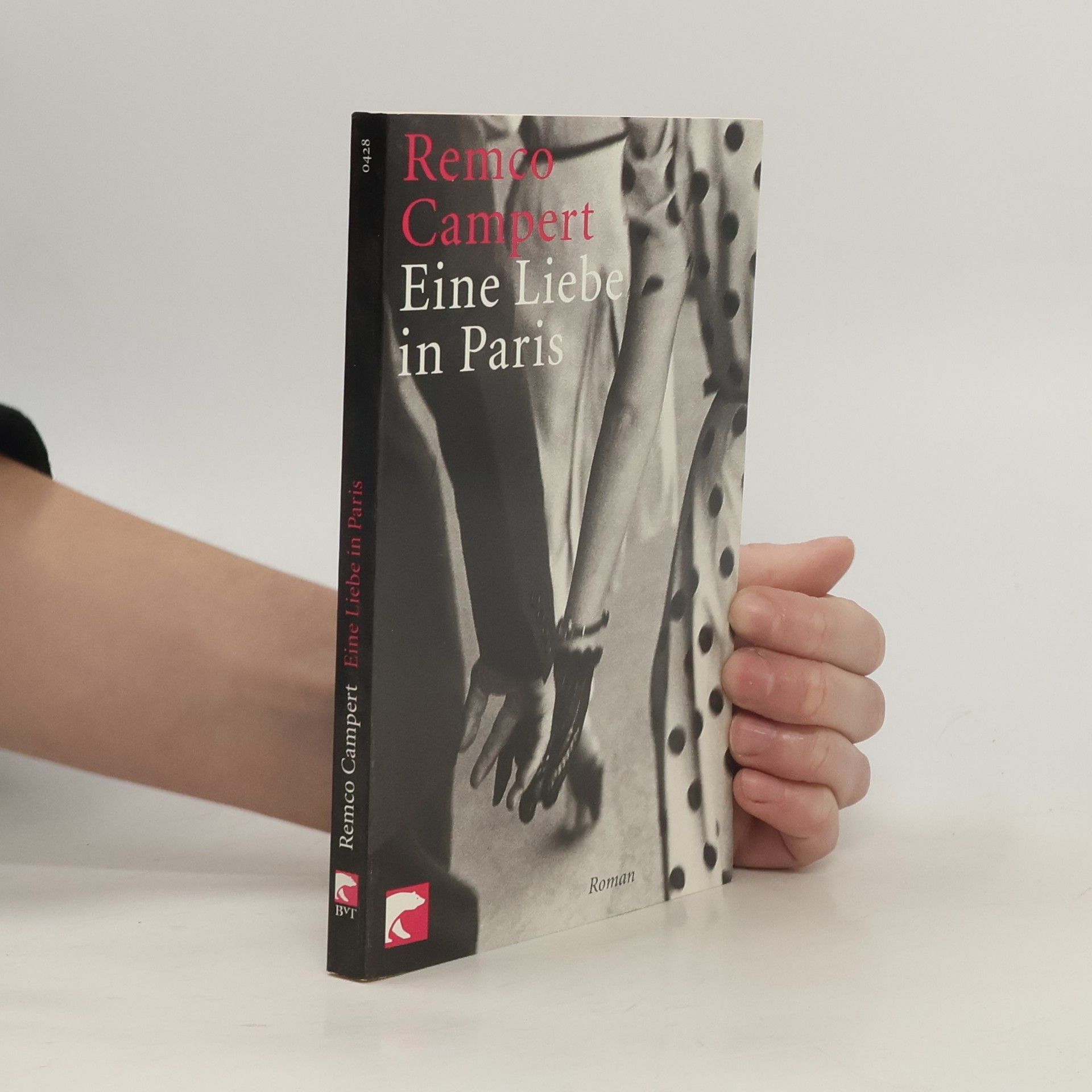 Remco Campert Eine Liebe in Paris